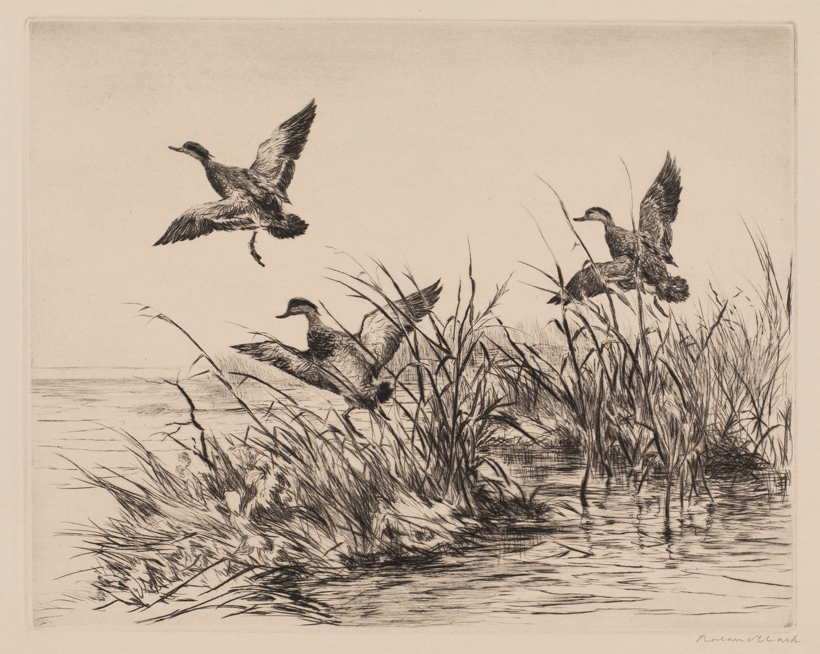 Roland Clark (1874-1957), Green Wing (1 of 3)