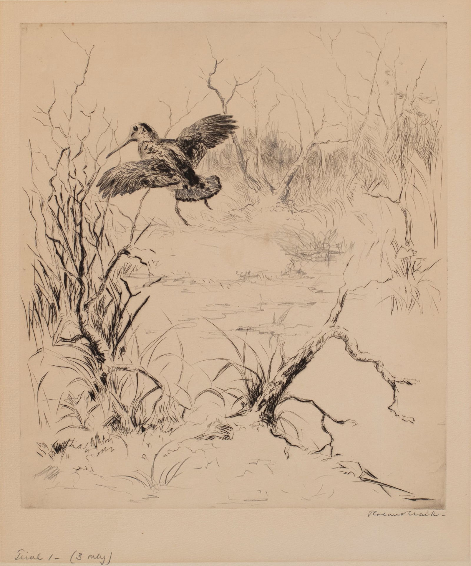 Roland Clark (1874-1957), Woodcock Trial Proof (1 of 1)