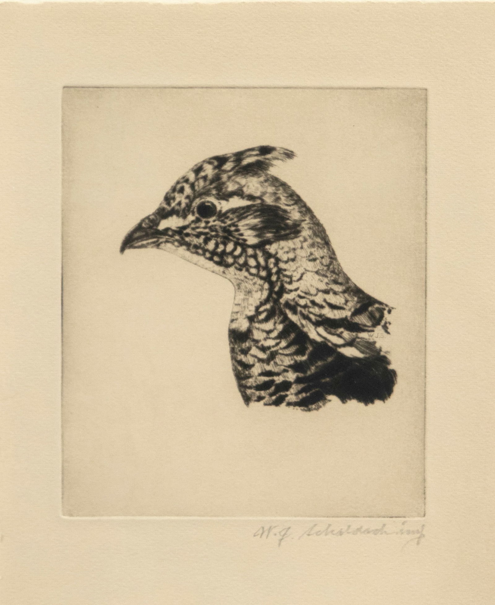 William J. Schaldach (1896-1982), Grouse Head (1 of 3)