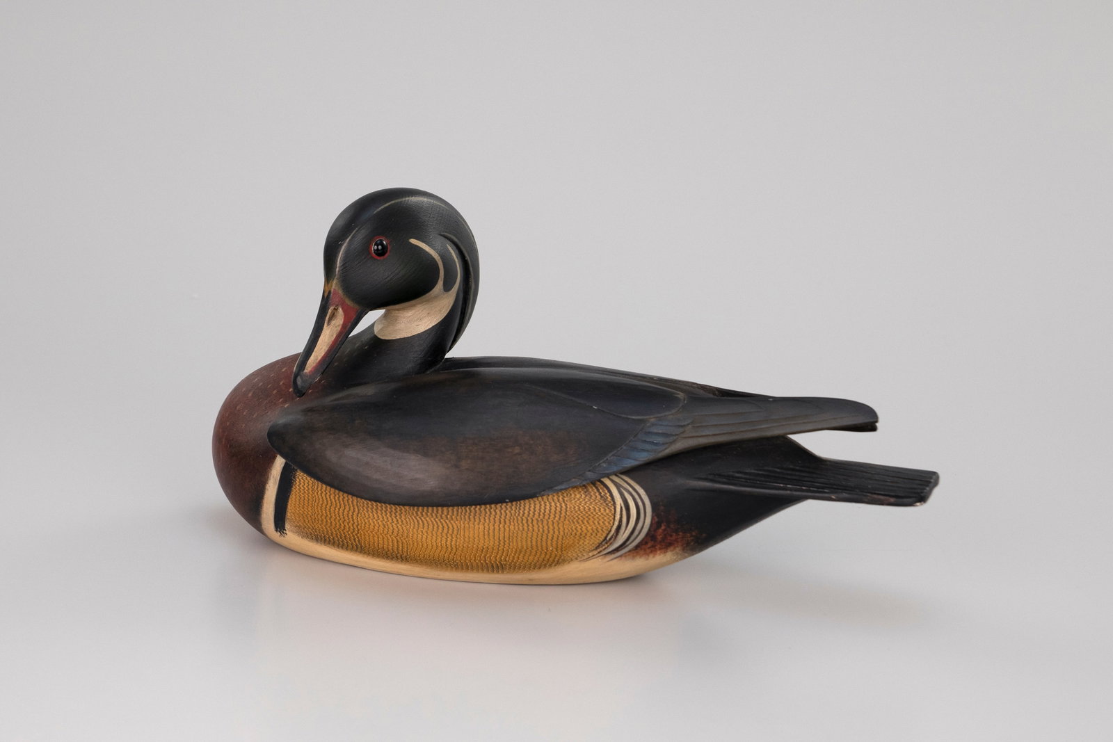 Raised-Wing Preening Wood Duck by William Gibian (b. 1946) (1 of 8)