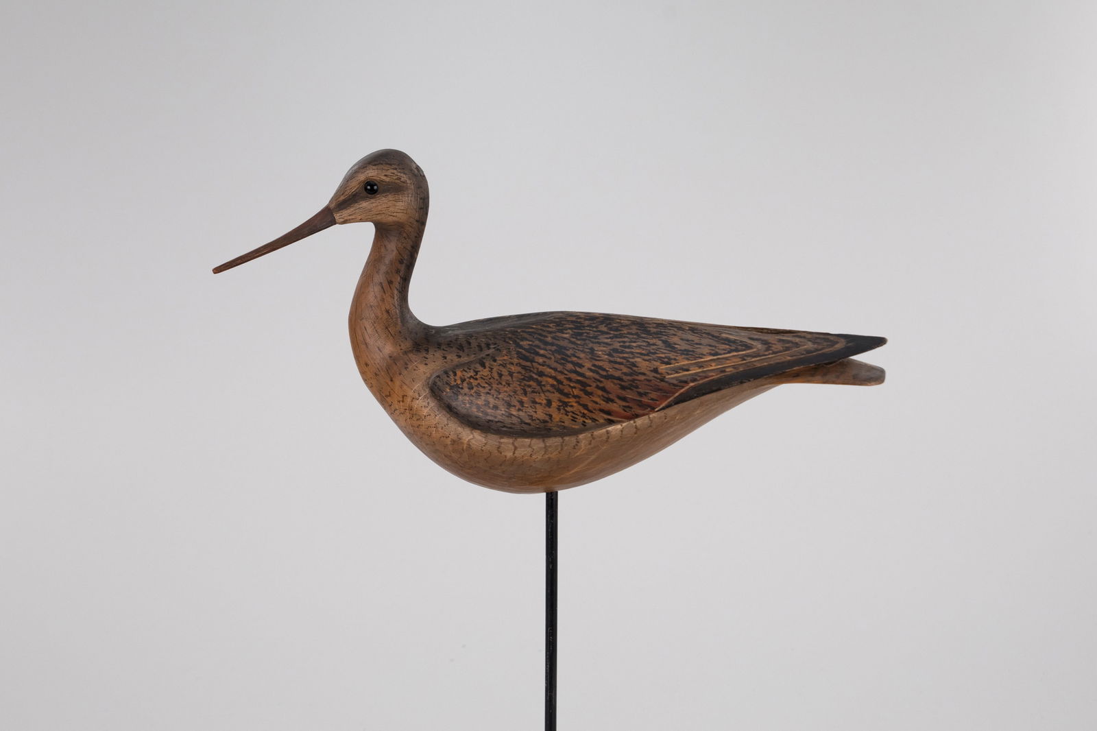 Godwit by William Gibian (b. 1946) (1 of 5)