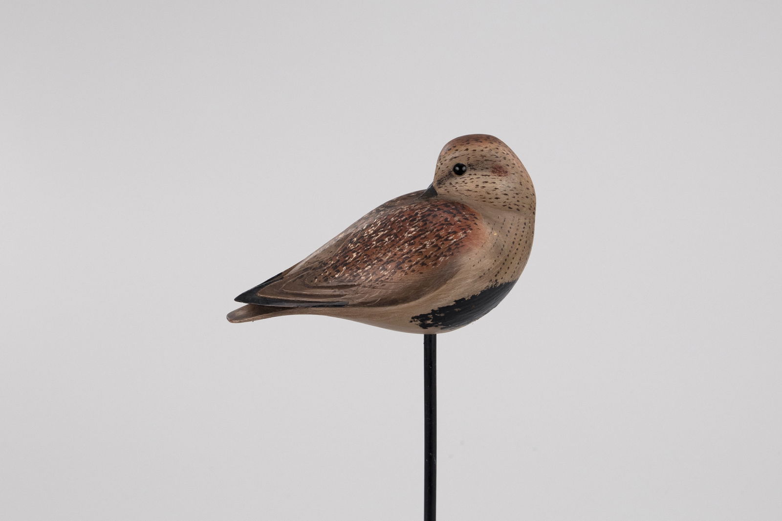 Sleeping Dunlin by William Gibian (b. 1946): Sleeping Dunlin William Gibian (b. 1946) Onancock, VA 7 in. long This carving is signed by the maker with an incised "GIBIAN" on the underside. Original paint with light wear. Provenance: Estate of Ma