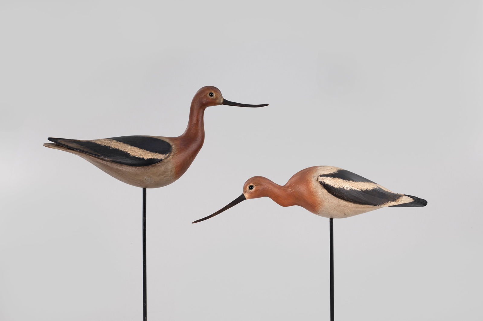 Avocet Pair by William Gibian (b. 1946): Avocet Pair William Gibian (b. 1946) Onancock, VA 16 1/2 in. long This pair of carvings is signed by the maker with an incised "GIBIAN" on the undersides. Original paint with light wear, some sap blee