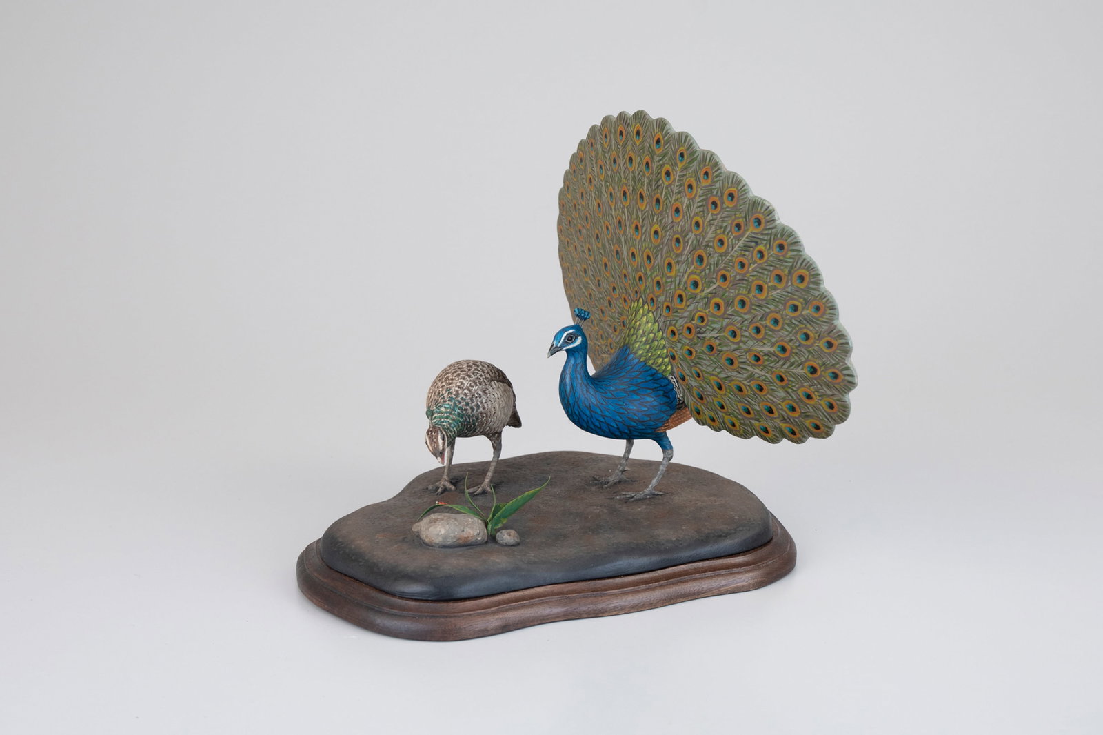 Peacock Life by Eddie Wozny (b. 1959) (1 of 8)