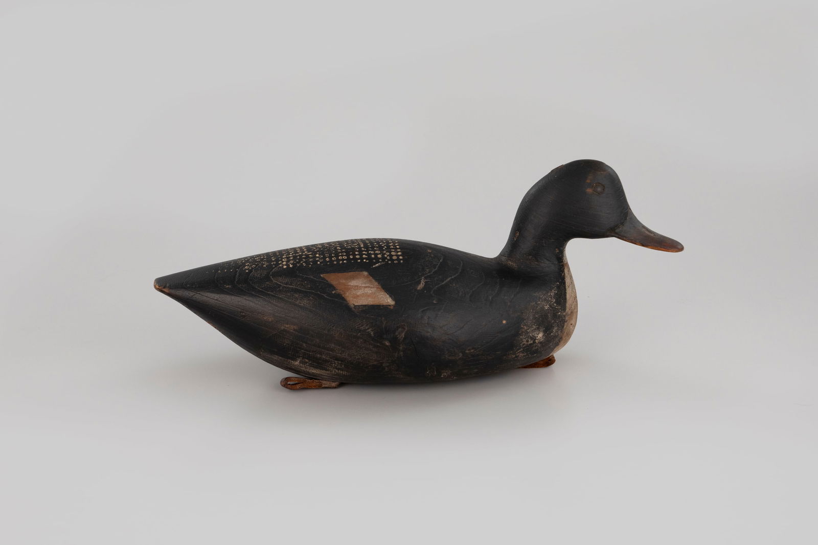Rare Bluebill by Captain Charles Sammis (1845-1933) (1 of 5)