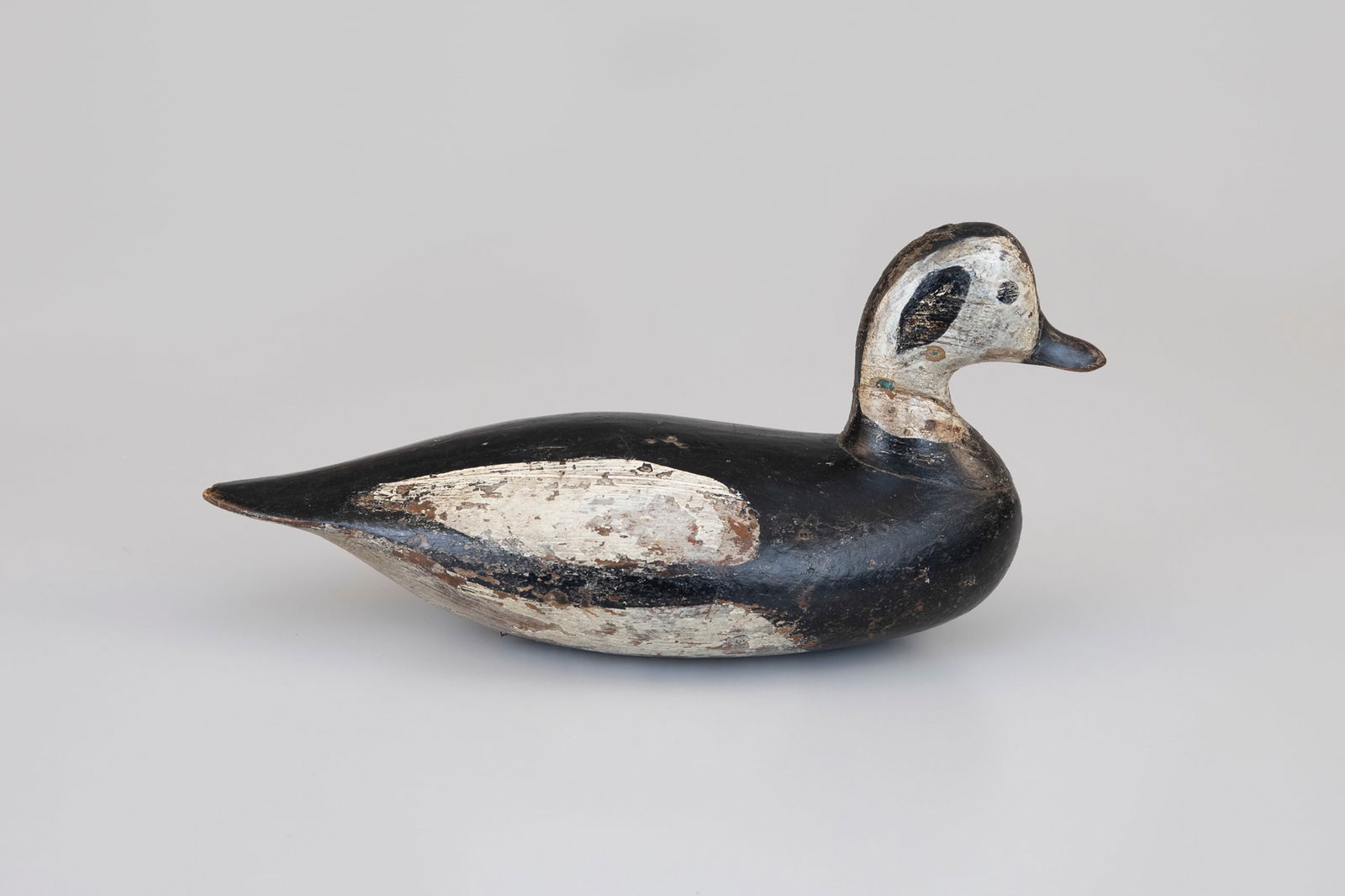 Long-Tailed Duck attributed to Joshua Verity (1827-1911) (1 of 5)
