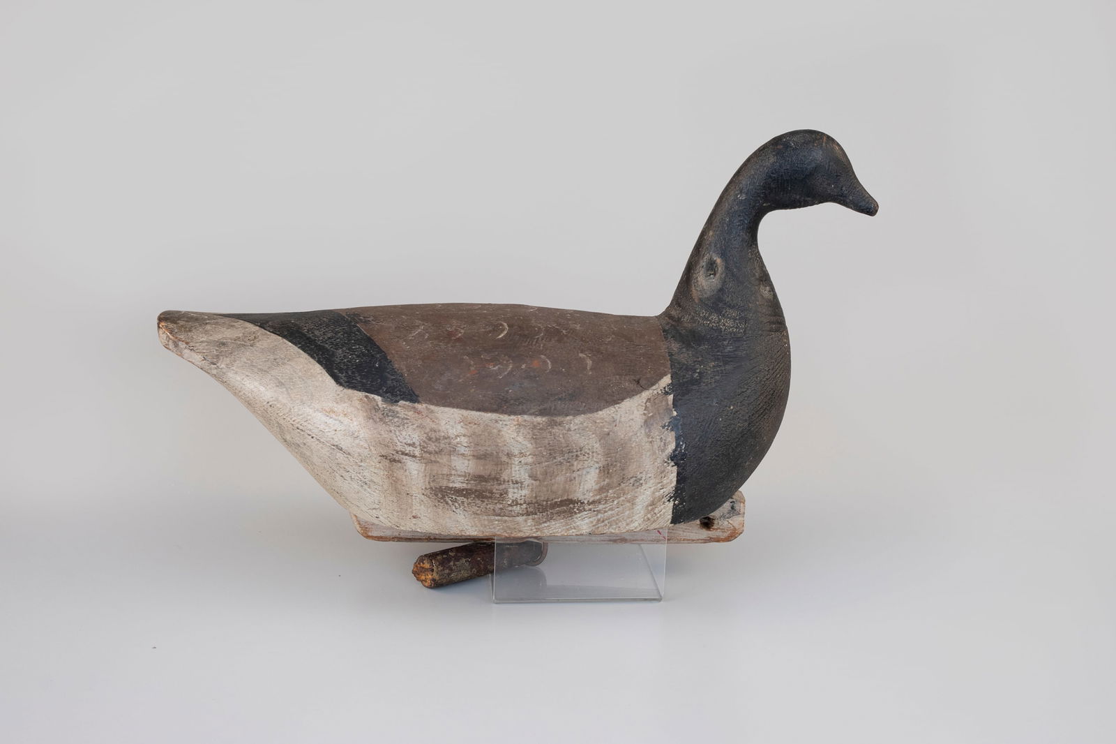 Brant by David Henry Cochran (1 of 5)