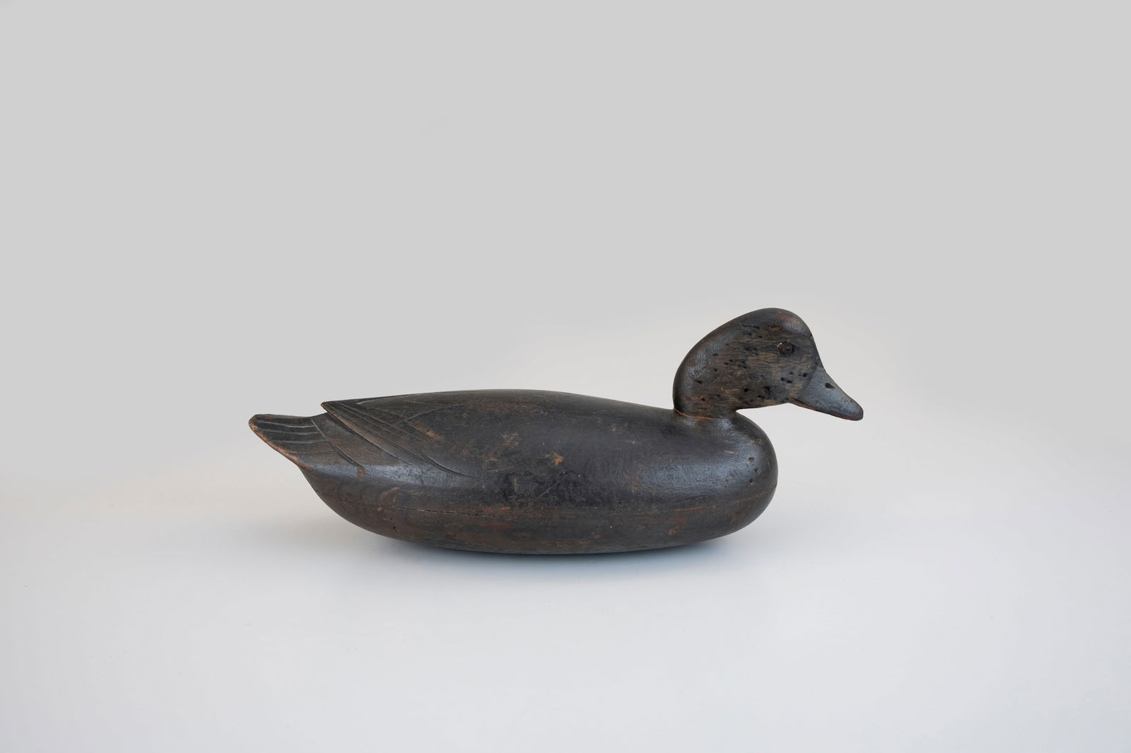Rare Wigeon Hen by John English (1848-1915) (1 of 6)