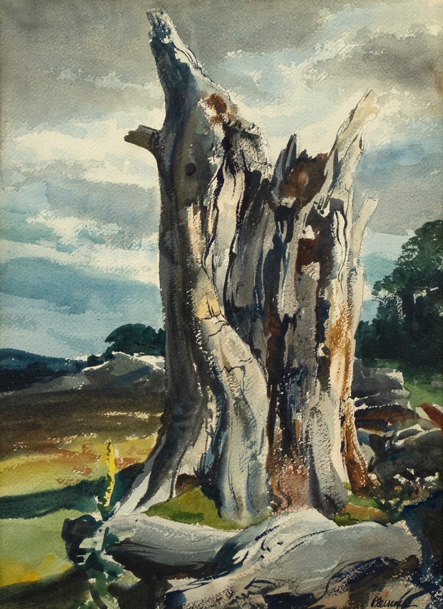 Ogden M. Pleissner (1905-1983), Tree (1 of 3)