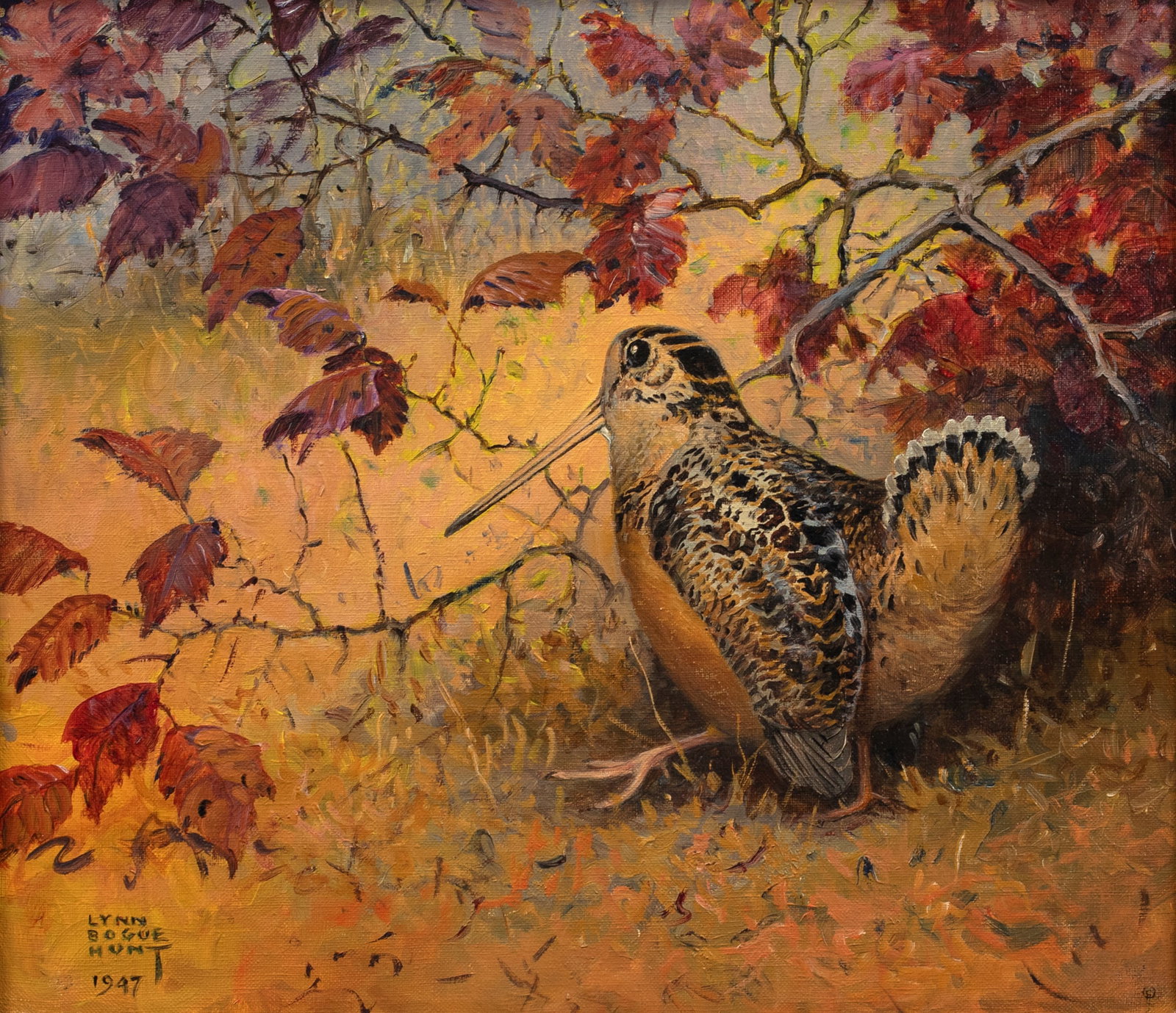 Lynn Bogue Hunt (1878-1960), October Strut Woodcock: Lynn Bogue Hunt (1878-1960) October Strut Woodcock, 1947 signed and dated "Lynn Bogue Hunt 1947" lower left oil on canvas, 14 by 16 in. titled, inscribed, and signed on back Lynn Bogue Hunt was born i
