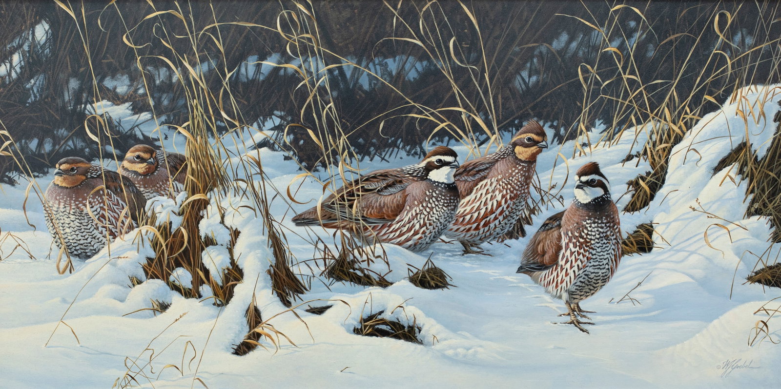 Wilhelm J. Goebel (b. 1960), Quail Covey: Wilhelm J. Goebel (b. 1960) Quail Covey signed "(c) W.J. Goebel" lower right oil on canvas, 18 by 36 in. framed, 26 1/2 by 44 1/2 in.
