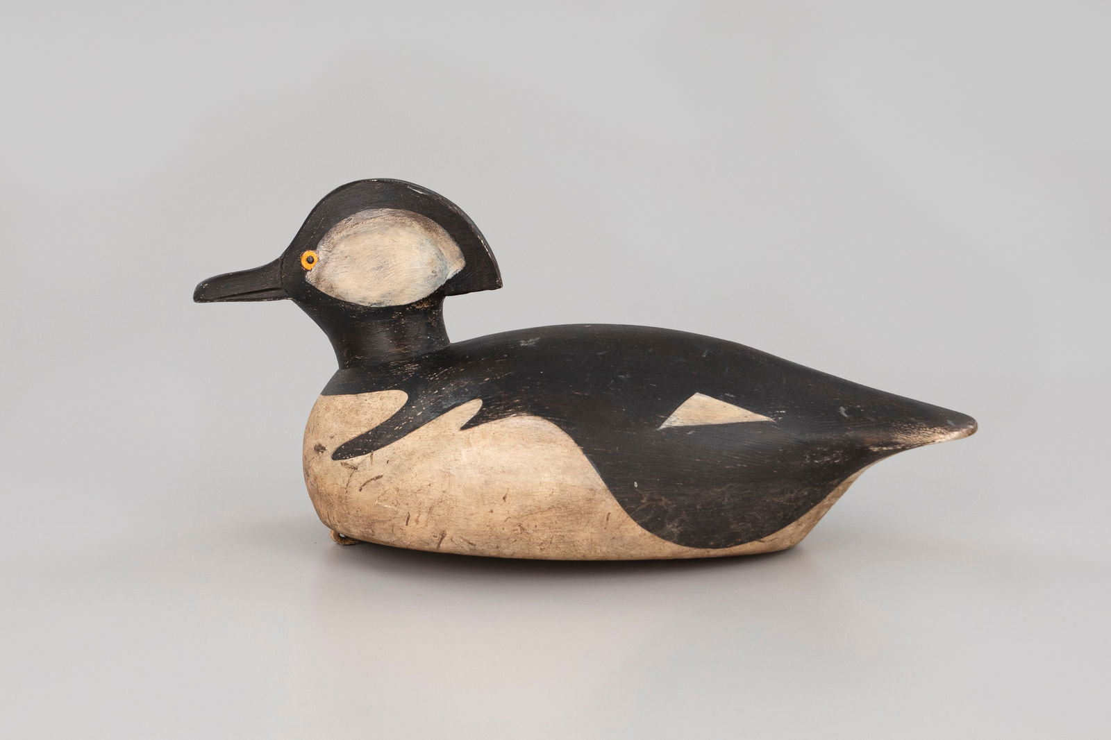 Hooded Merganser - 2