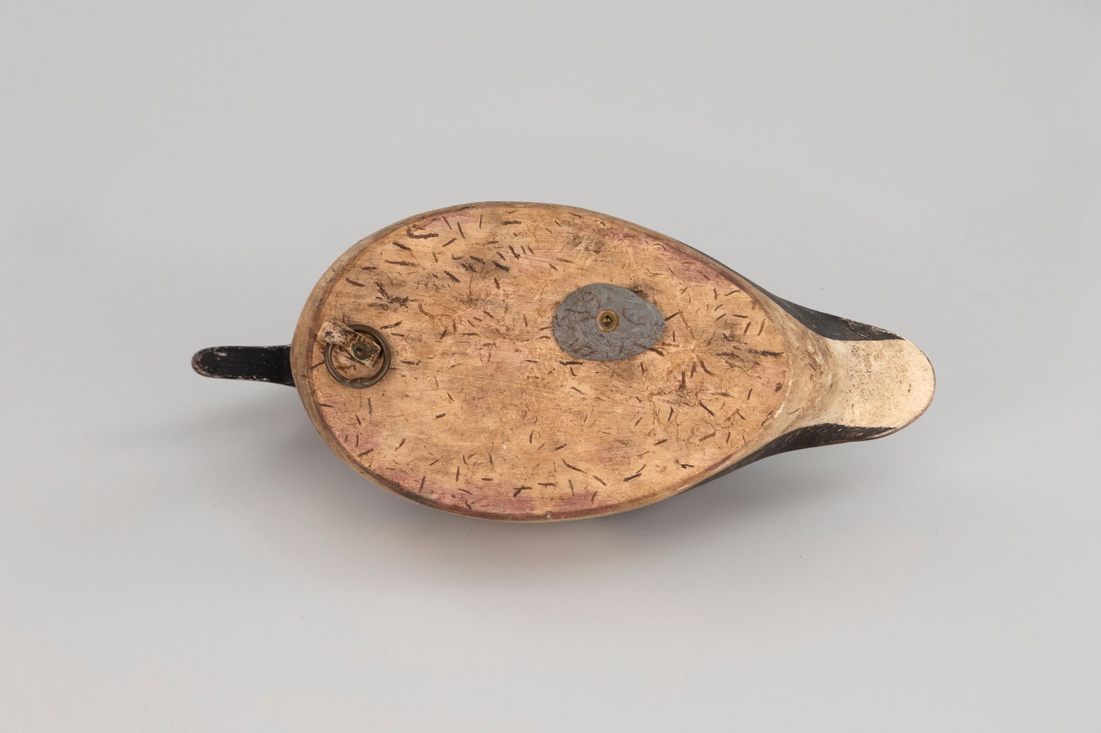 Hooded Merganser - 4