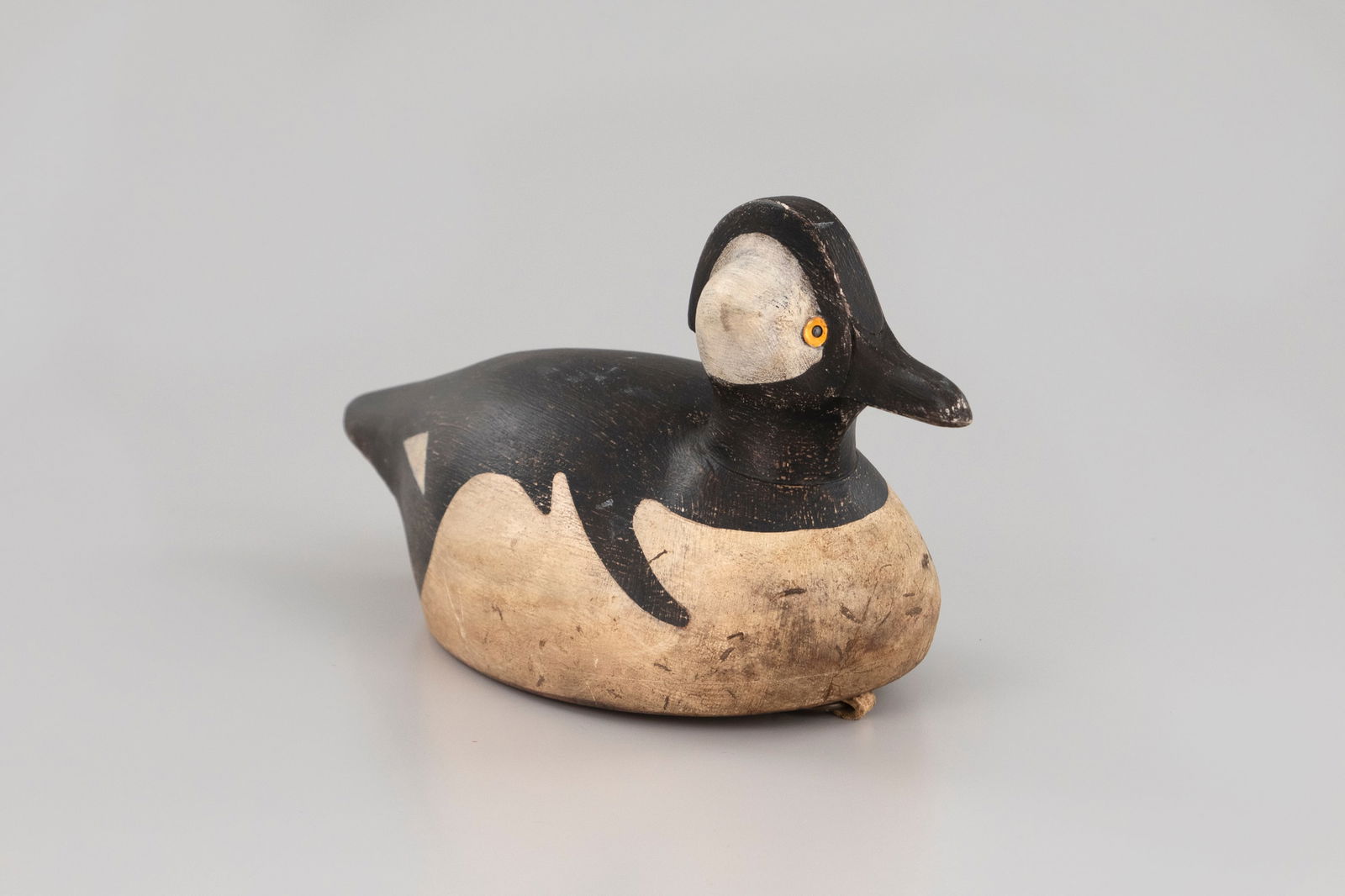 Hooded Merganser - 5