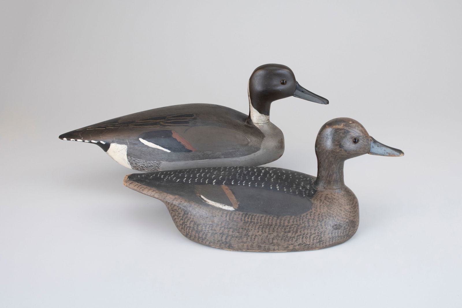 Pintail Pair by William "Billy" Ellis (1865-1963) (1 of 5)