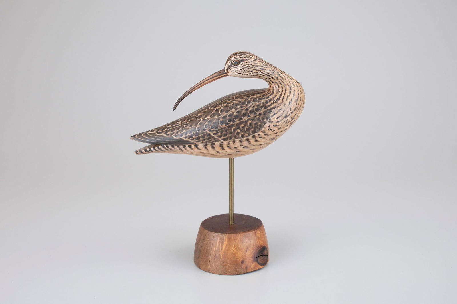 Preening Curlew by Keith Mueller (b. 1956): Preening Curlew Keith Mueller (b. 1956) Killingworth, CT 11 1/2 in. long A Crowell-style curlew with the maker's signature on the underside. Original paint with light wear.