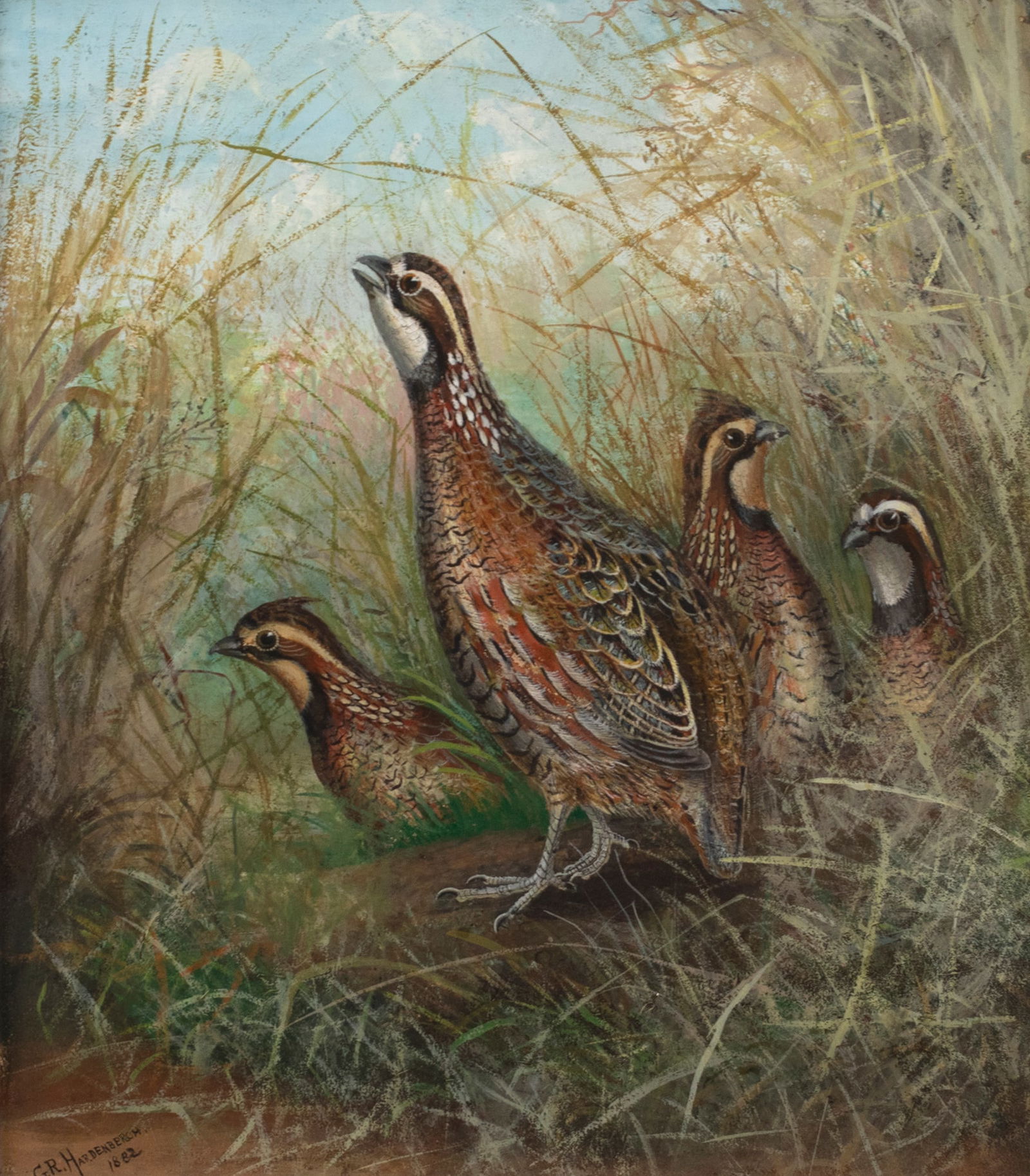 Gerard R. Hardenbergh (1855-1915), Bobwhite Quail: Gerard R. Hardenbergh (1855-1915) Bobwhite Quail, 1882 signed and dated "G.R. Hardenbergh 1882" lower left watercolor, 16 by 14 in. An early depiction of a covey of quail, this is one of the artist's