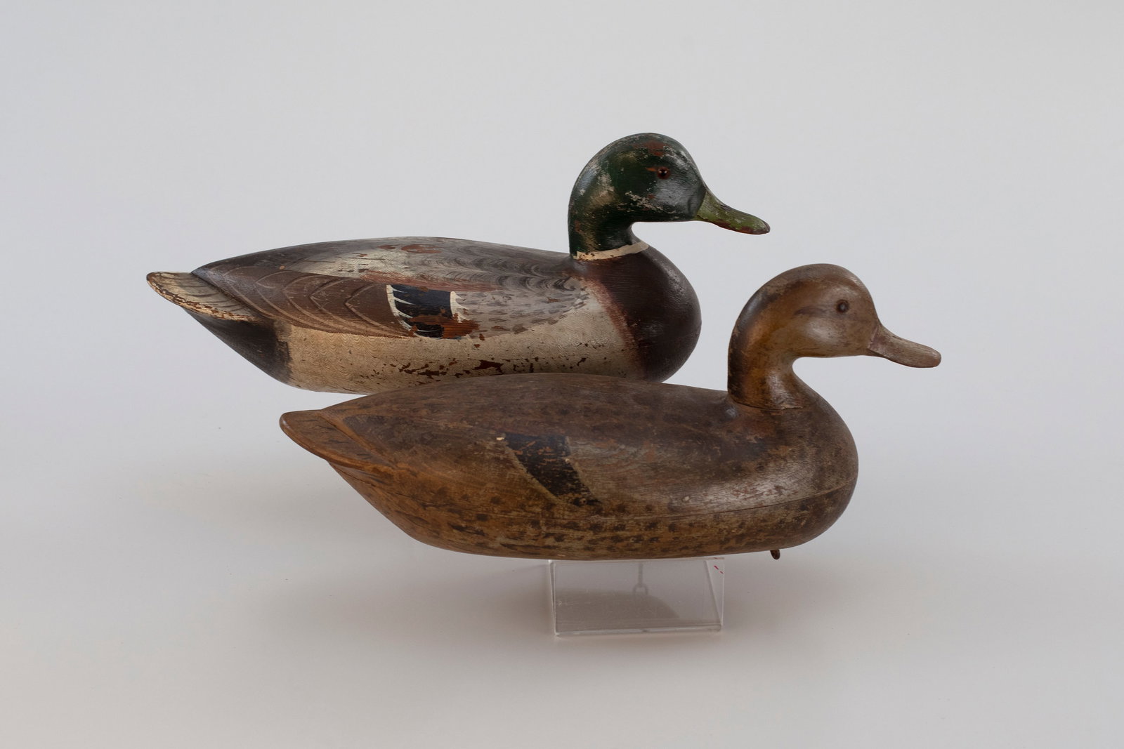 Mallard Pair by Charles H. Perdew (1874-1963) (1 of 6)