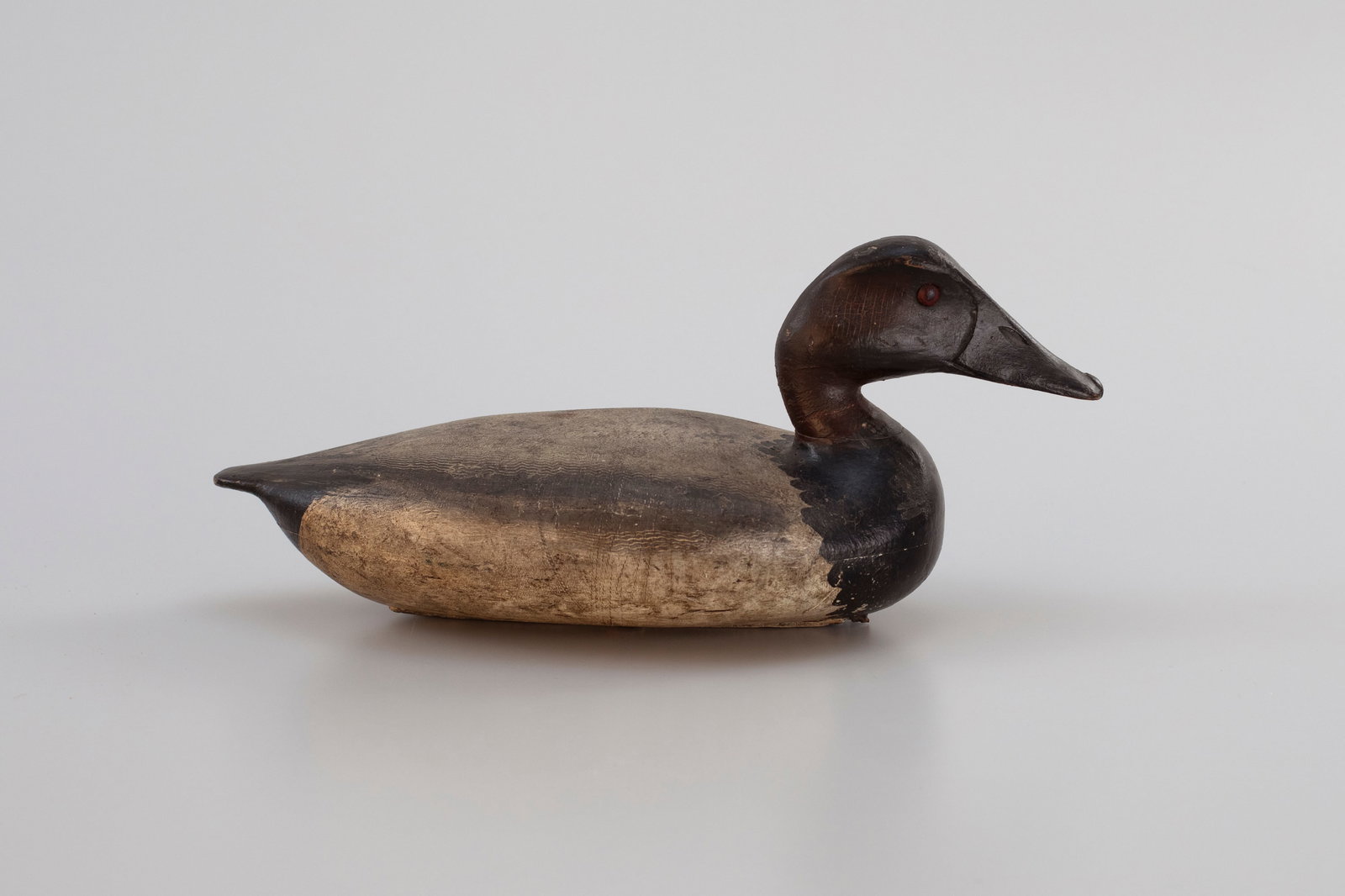 Canvasback by Richard Wilcoxen (1855-1926) (1 of 6)