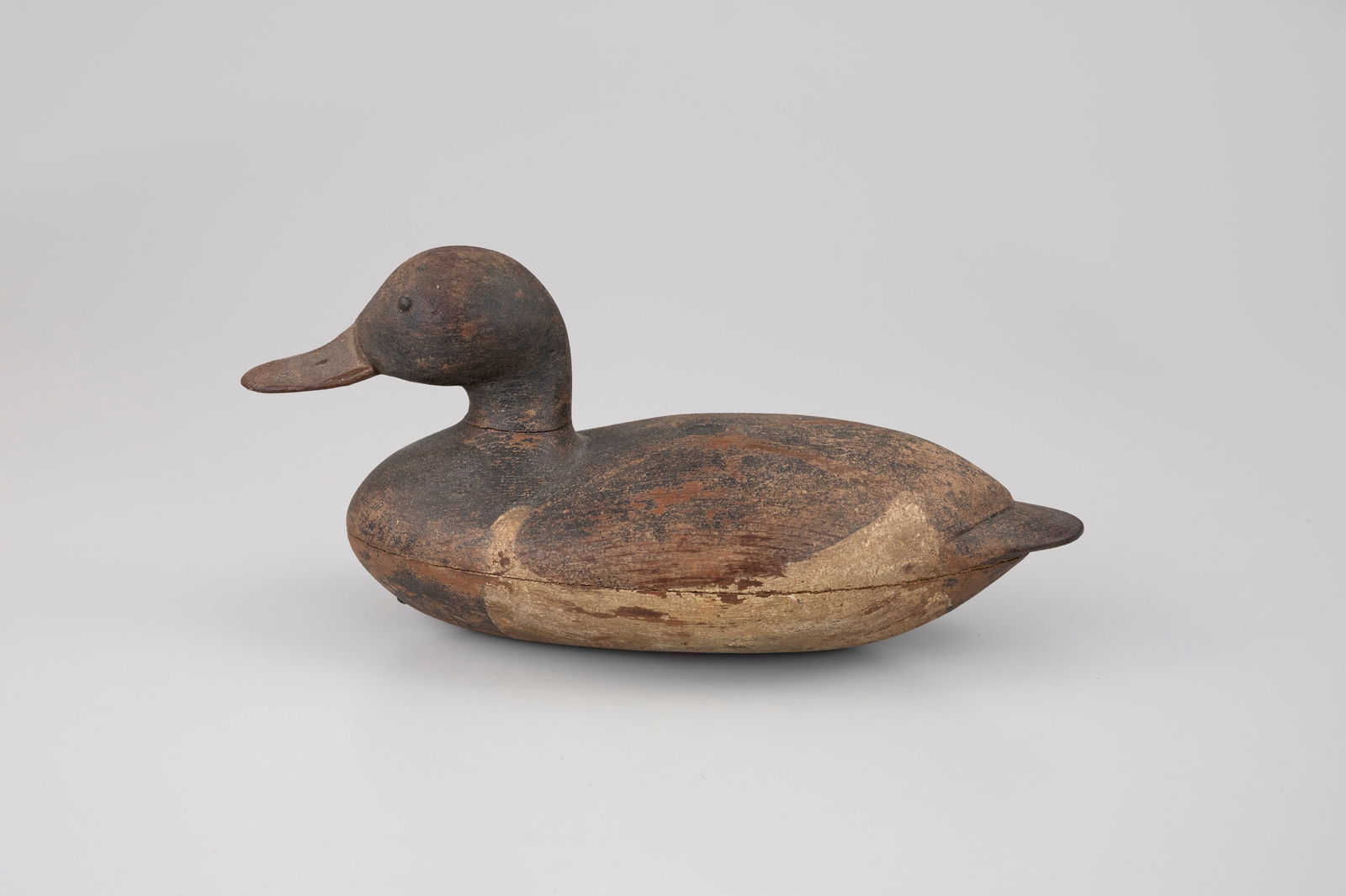 Rare Ring-Necked Duck by Henry Ruggles (1830-1897) (1 of 11)