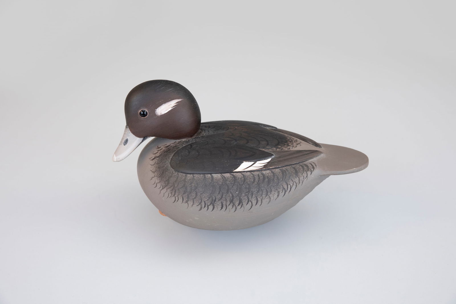 Bufflehead Hen by Marty Collins (b. 1960) (1 of 5)
