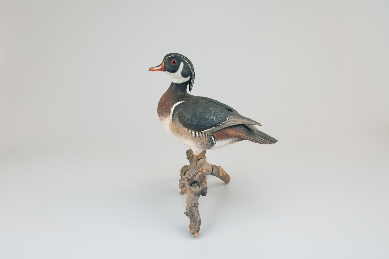 Life-Size Wood Duck by Stan Sparre (1923-2011) (1 of 5)