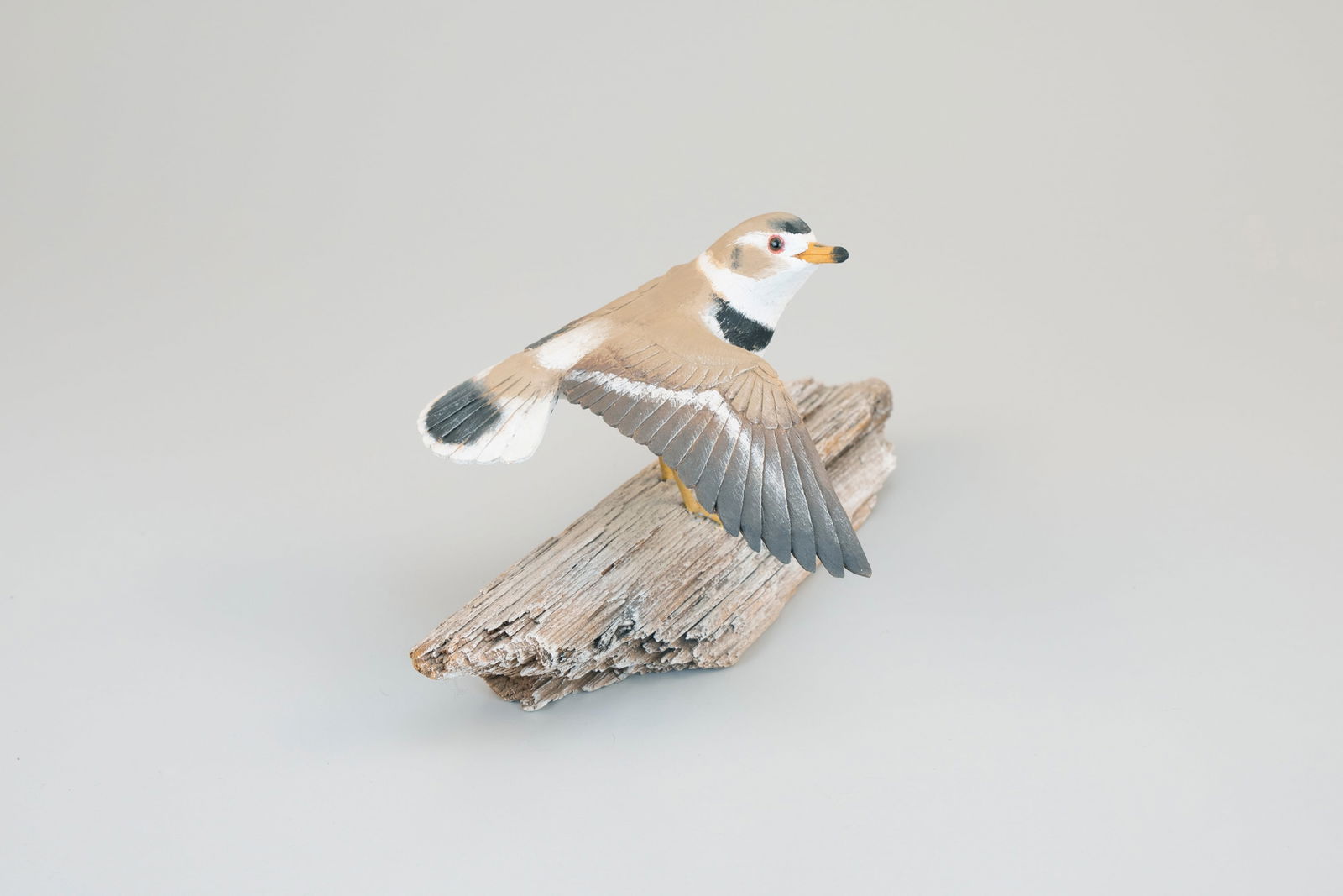 Piping Plover by Stan Sparre (1923-2011) (1 of 5)