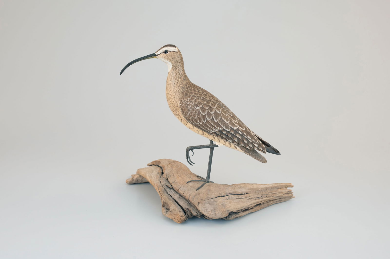 Curlew by Mark Holland: Curlew Mark Holland Brewster, MA, 1977 14 in. tall A curlew in a lifted-leg stance on a driftwood base, signed and dated on the underside by the maker. Original paint with light wear.