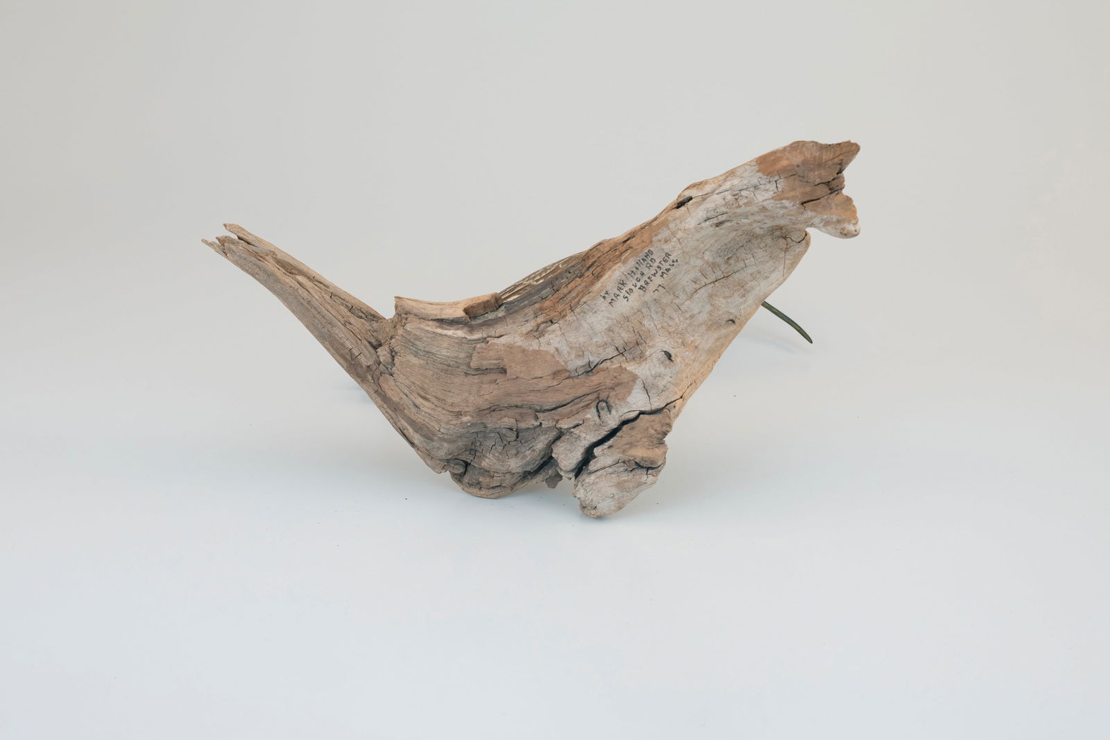 Curlew by Mark Holland - 4