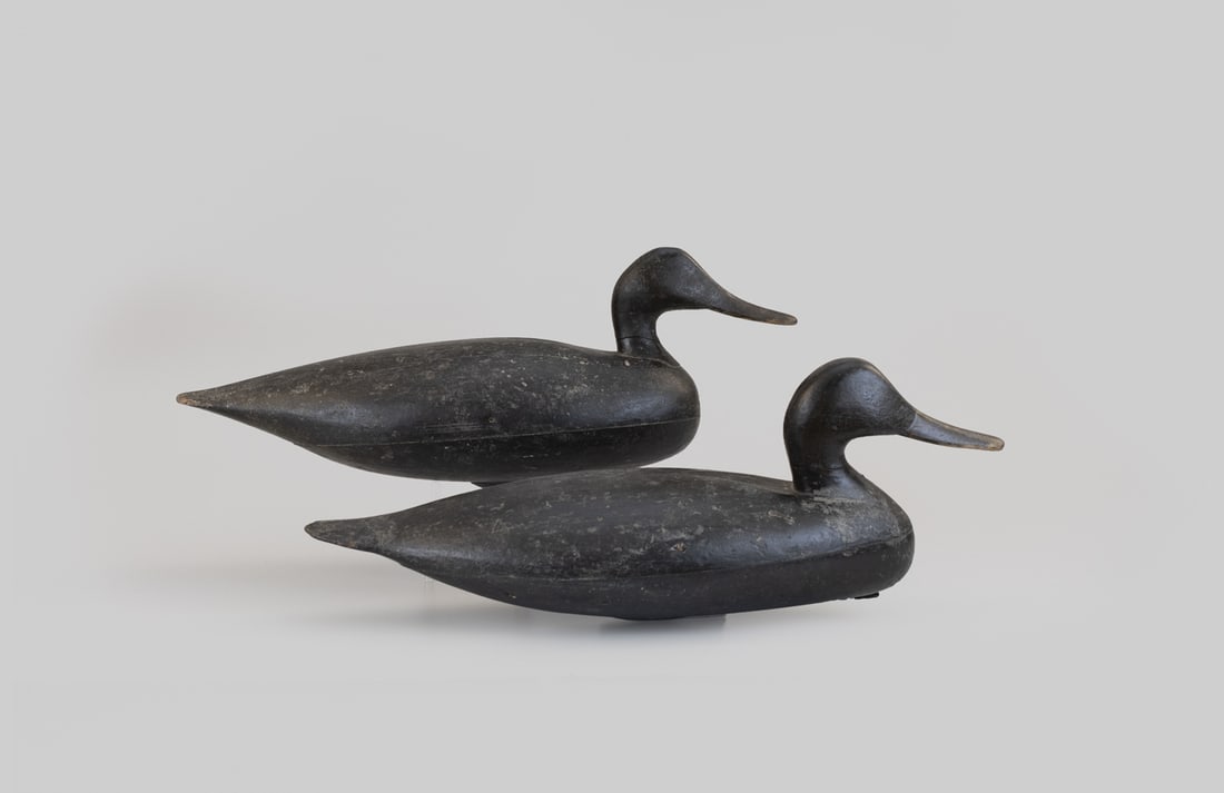 Black Duck Pair: Black Duck Pair Philadelphia, PA, c. 1860 18 1/2 in. long A pair of hollow and racy black ducks with shoulder carving and inletted heads. They relate closely to birds from the Winous Point Shooting
