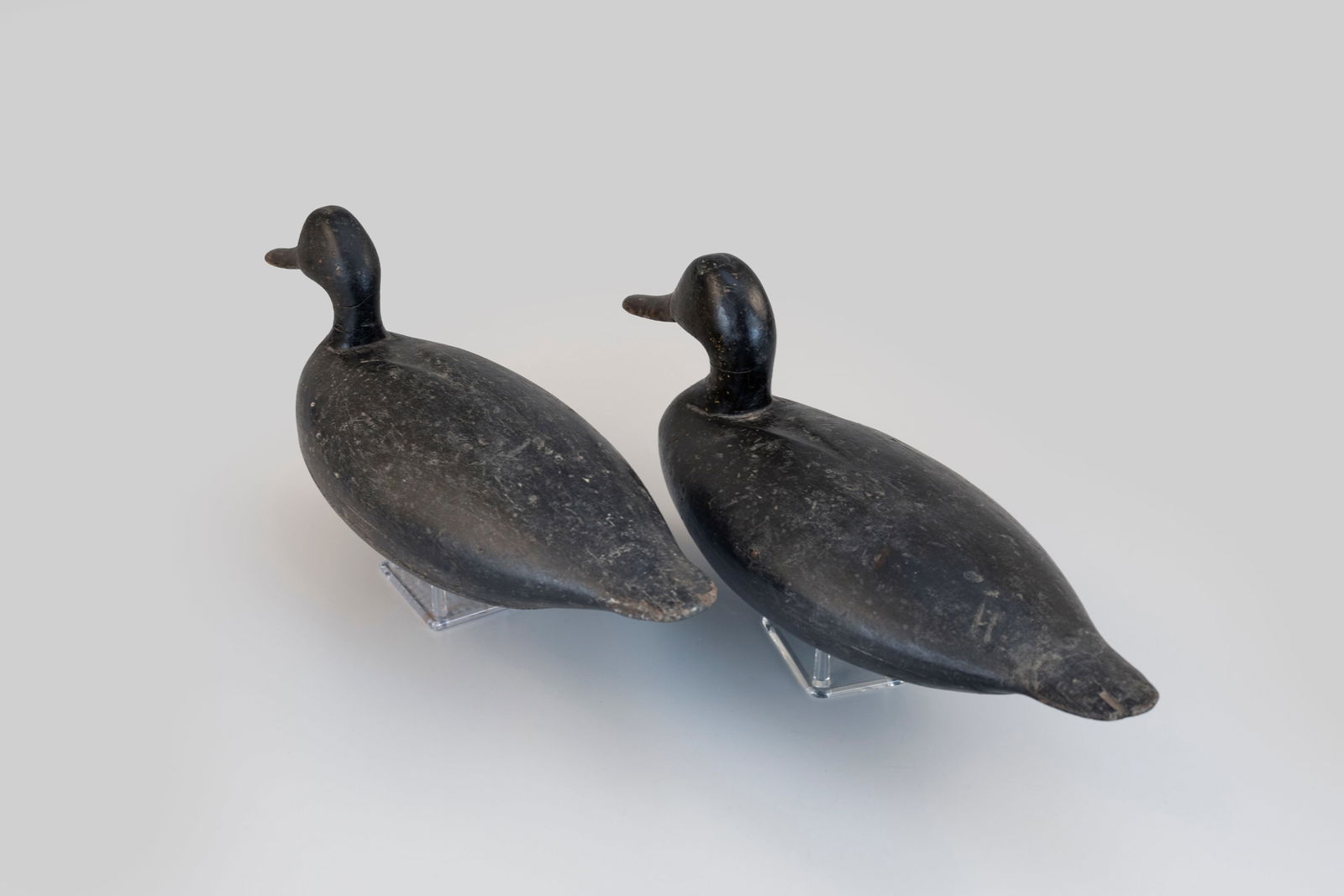 Black Duck Pair - 3