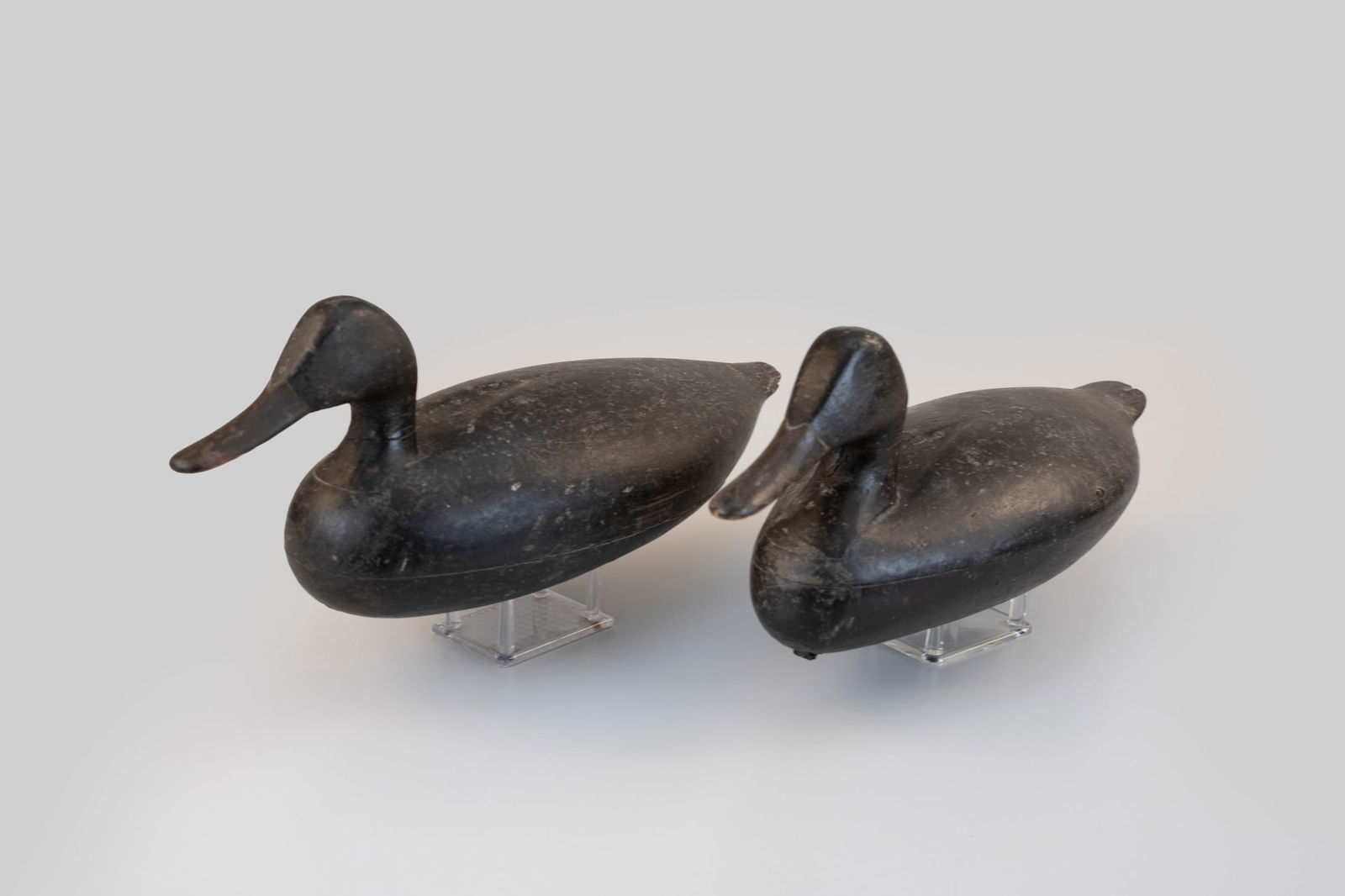 Black Duck Pair - 5