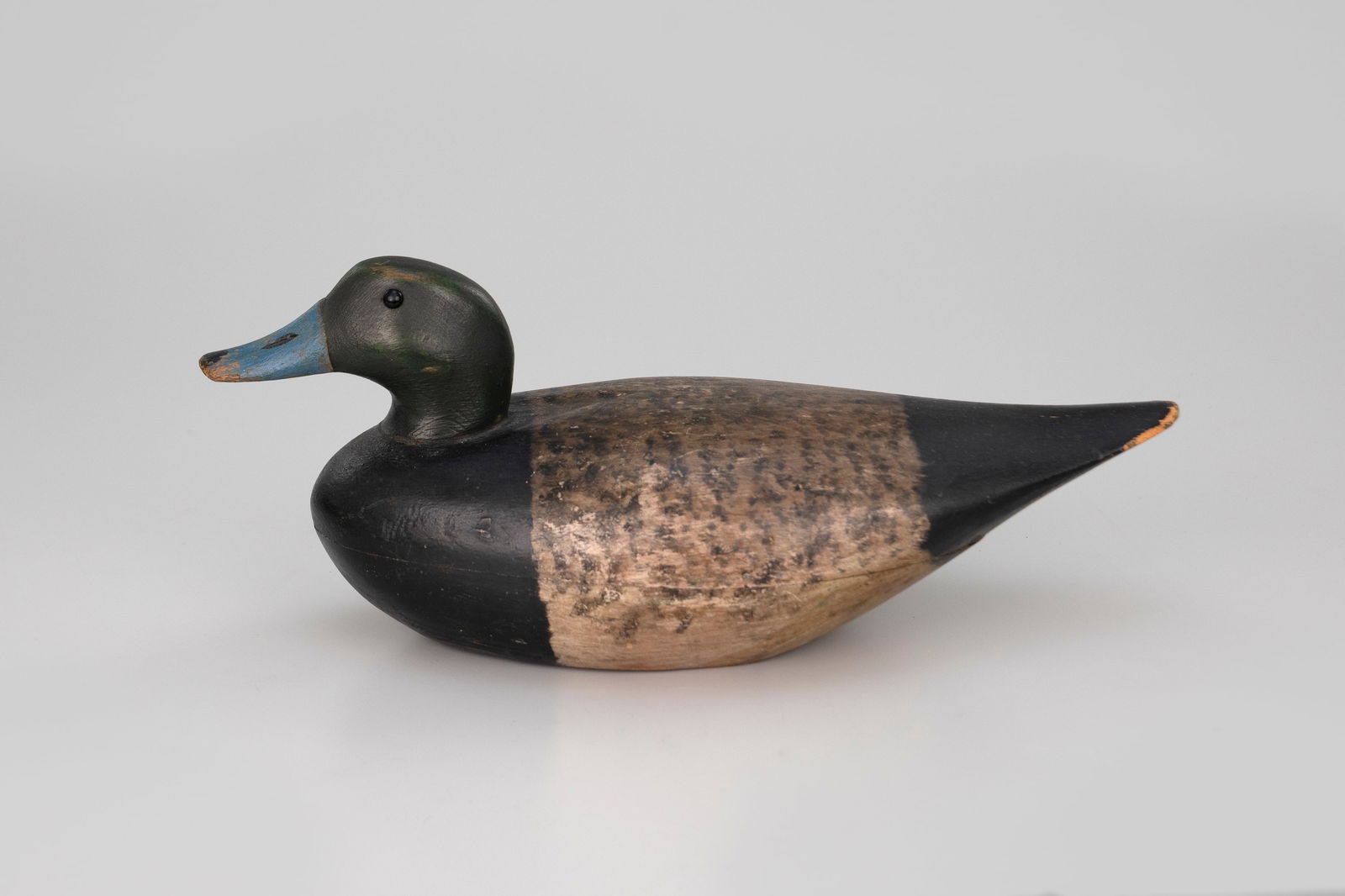 Bluebill Drake (1 of 7)