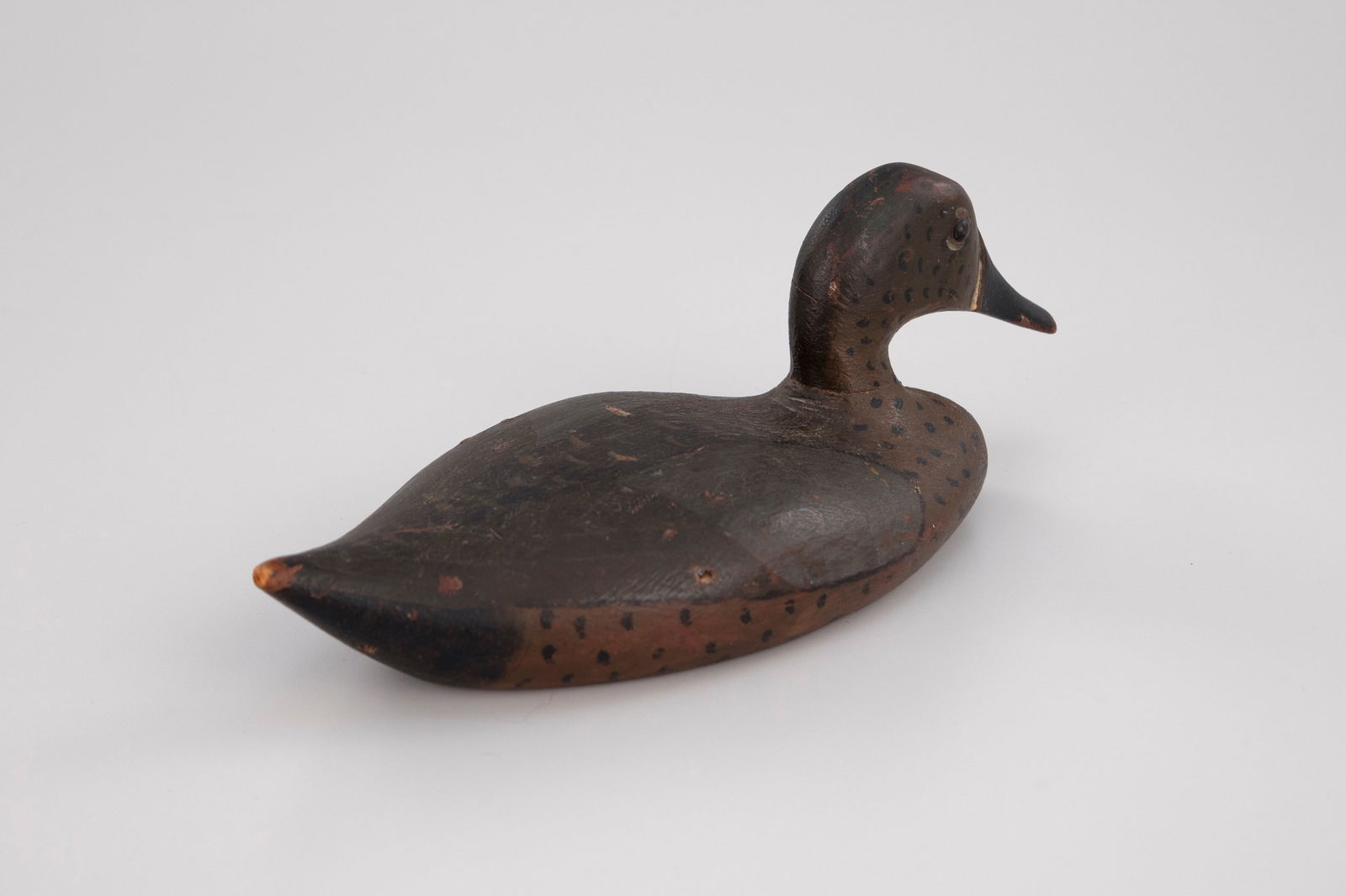 Blue-Winged Teal - 3