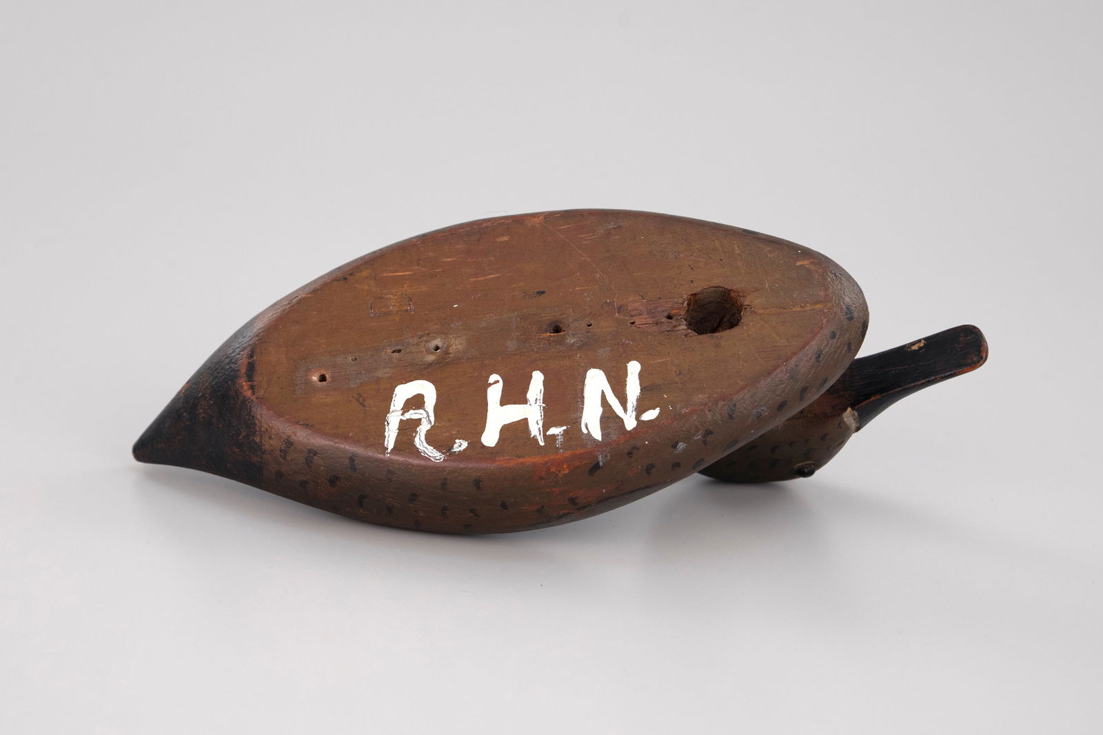 Blue-Winged Teal - 4