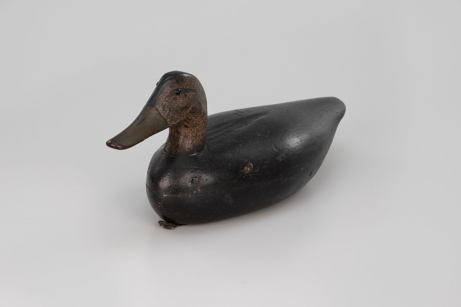 Black Duck - 5
