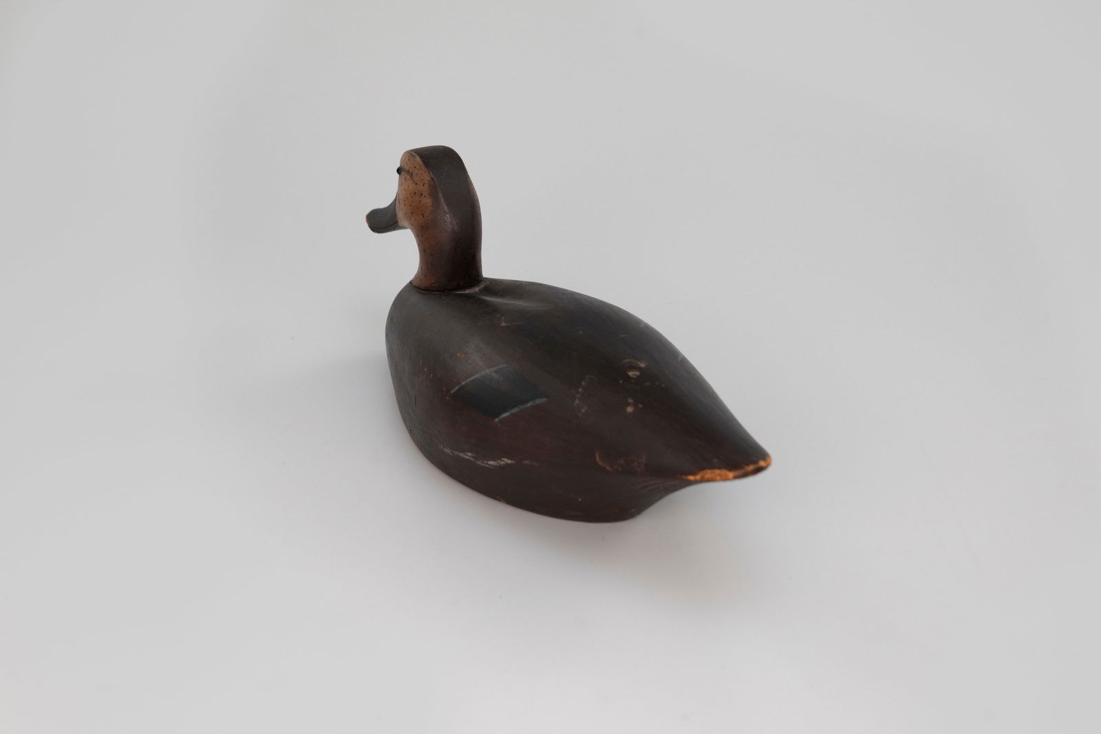 Black Duck - 3