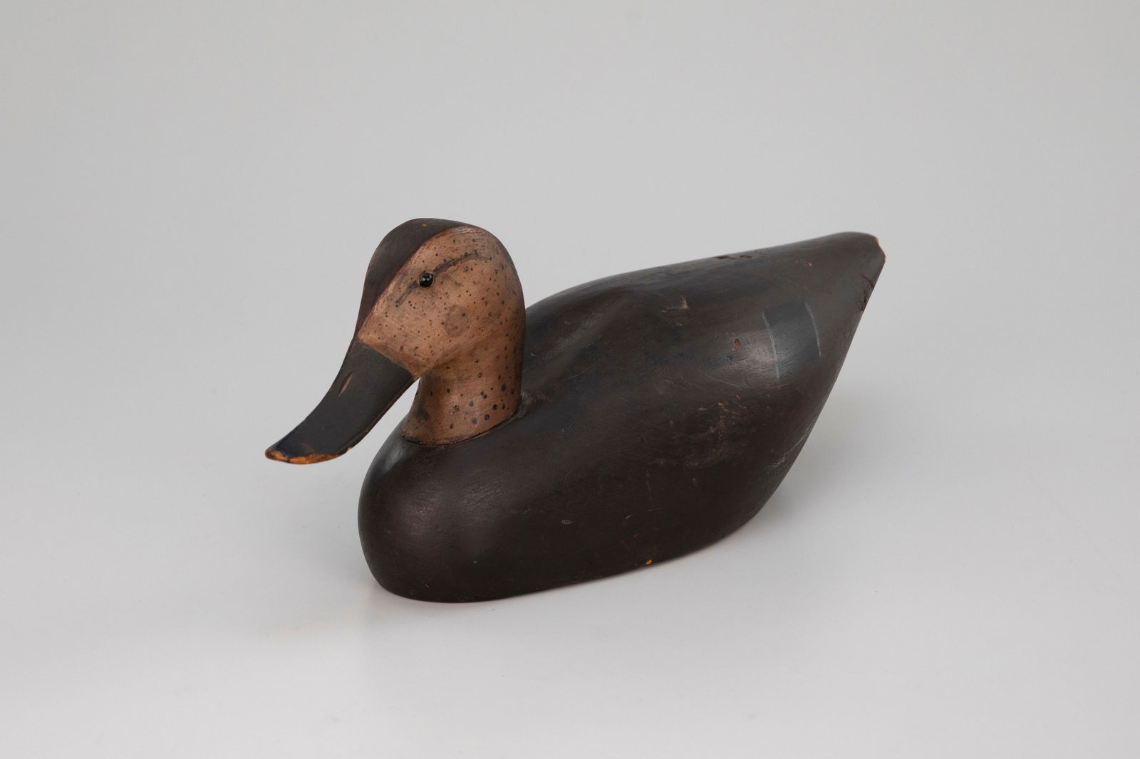 Black Duck - 5