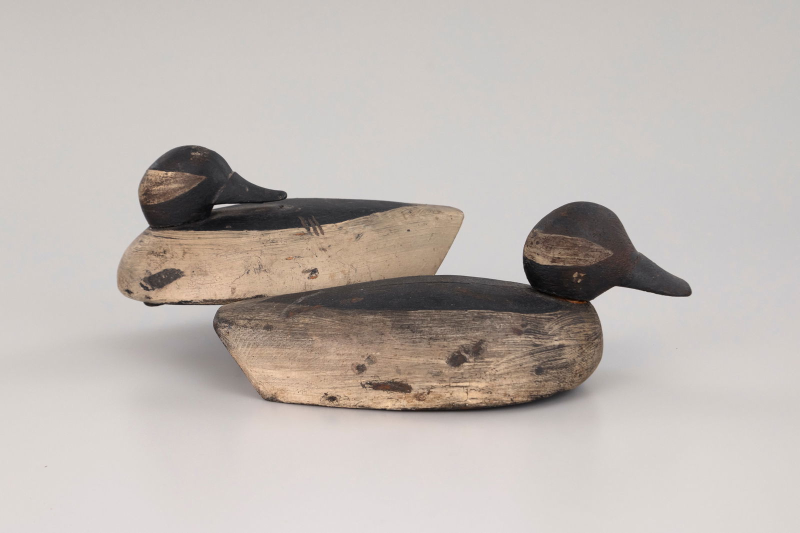 Turned-Head Bufflehead Pair, Finch Rig: Turned-Head Bufflehead Pair Finch Rig Port Huron, MI 9 1/2 in. long Both drakes bear a "W. H. Finch" brand on the underside. One head is in a preening pose and the other is loose and aligns sharply