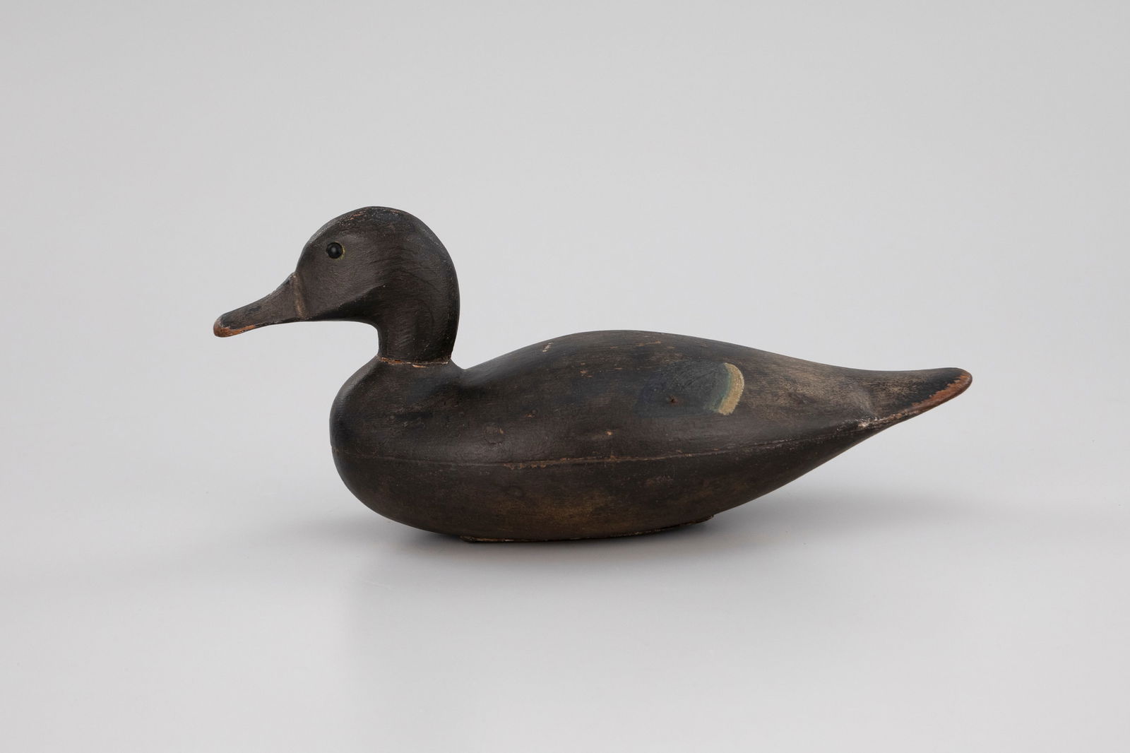 Blue-Winged Teal (1 of 7)