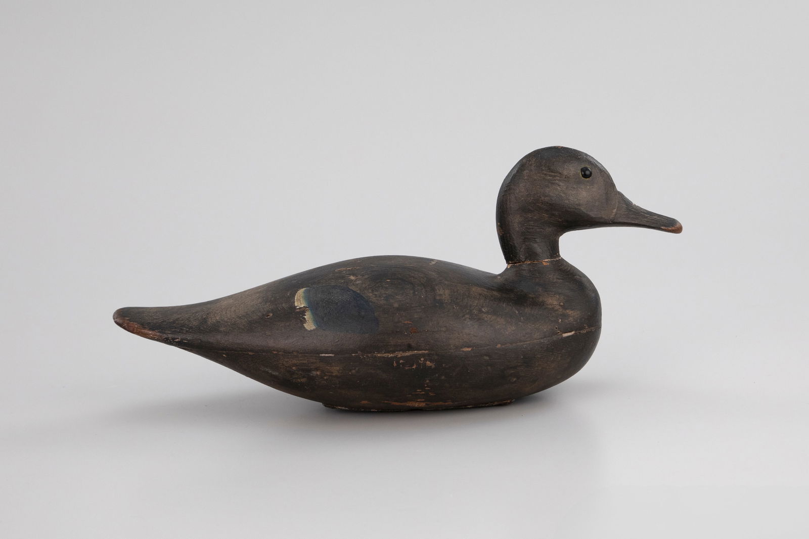 Blue-Winged Teal - 2