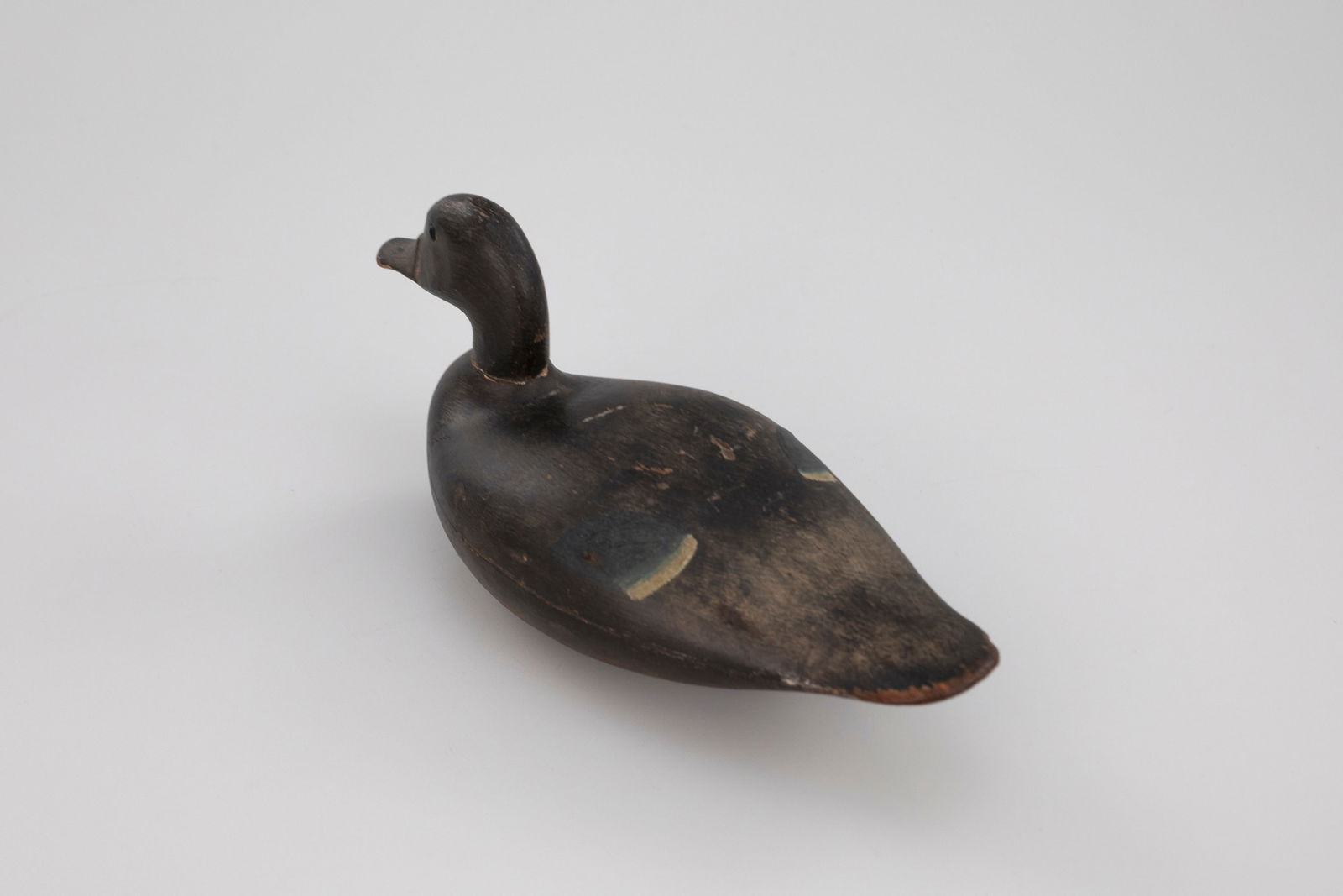 Blue-Winged Teal - 3