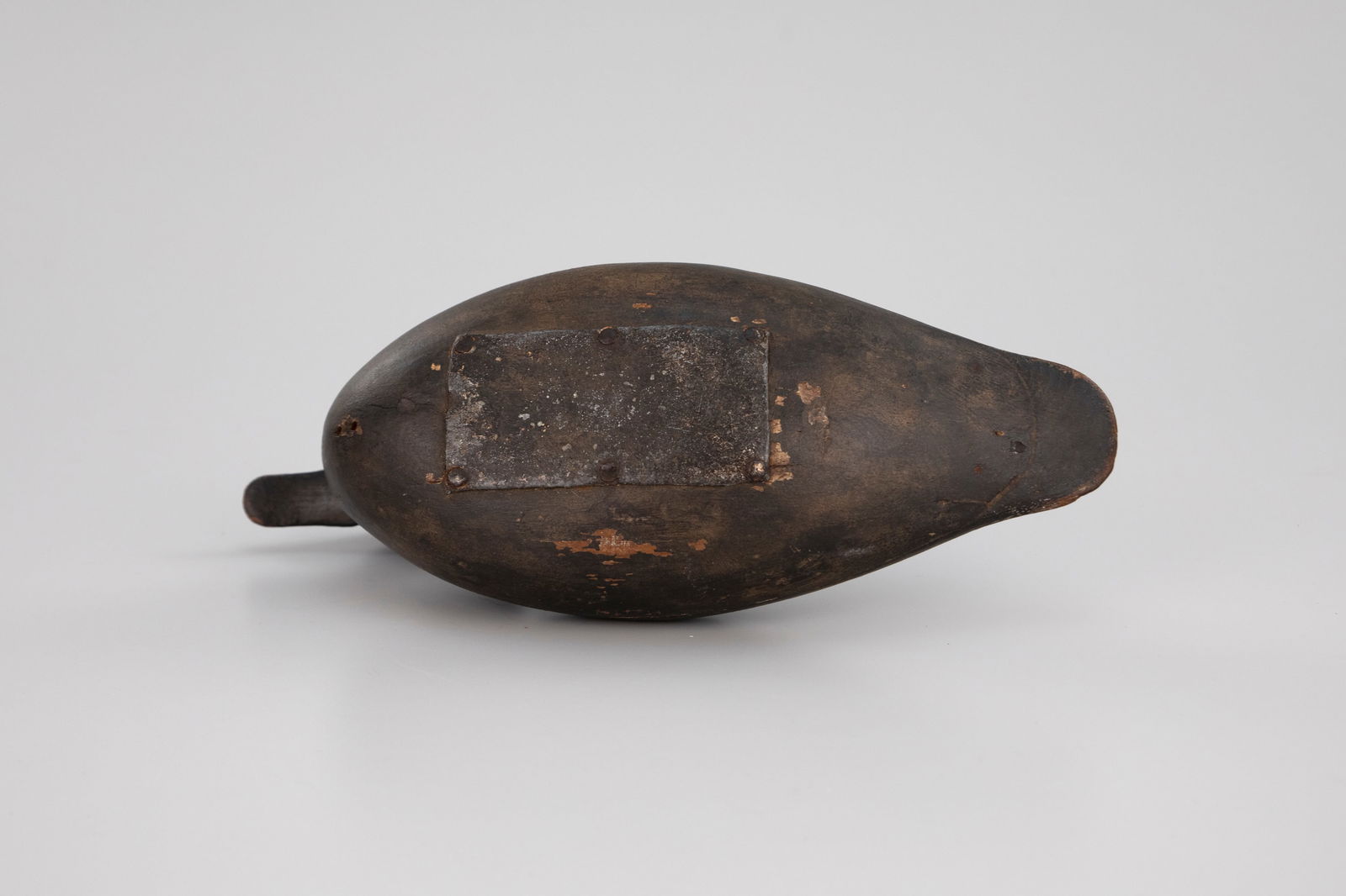 Blue-Winged Teal - 4