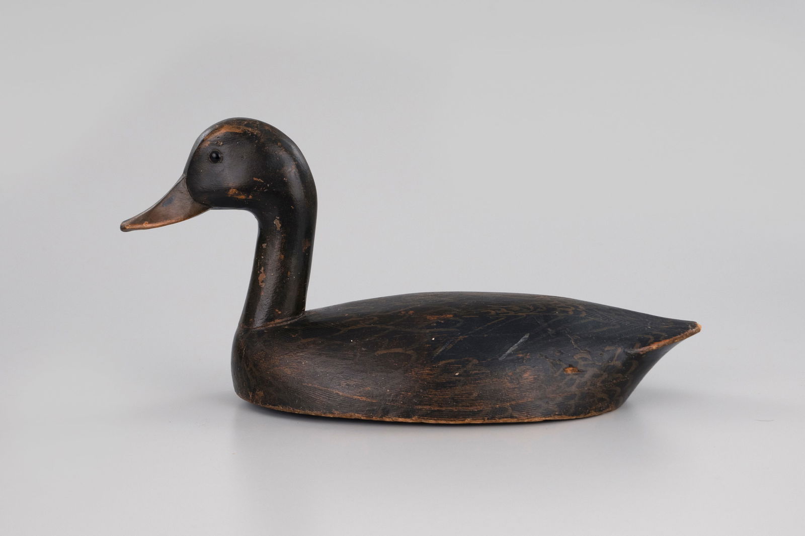 High-Head Black Duck, Vivian Rig: High-Head Black Duck Vivian Rig Ontario, Canada, c. 1900 16 1/2 in. long, 8 in. tall This high-head carving is branded "VIVIAN" on the underside. Original paint with gunning wear, including
