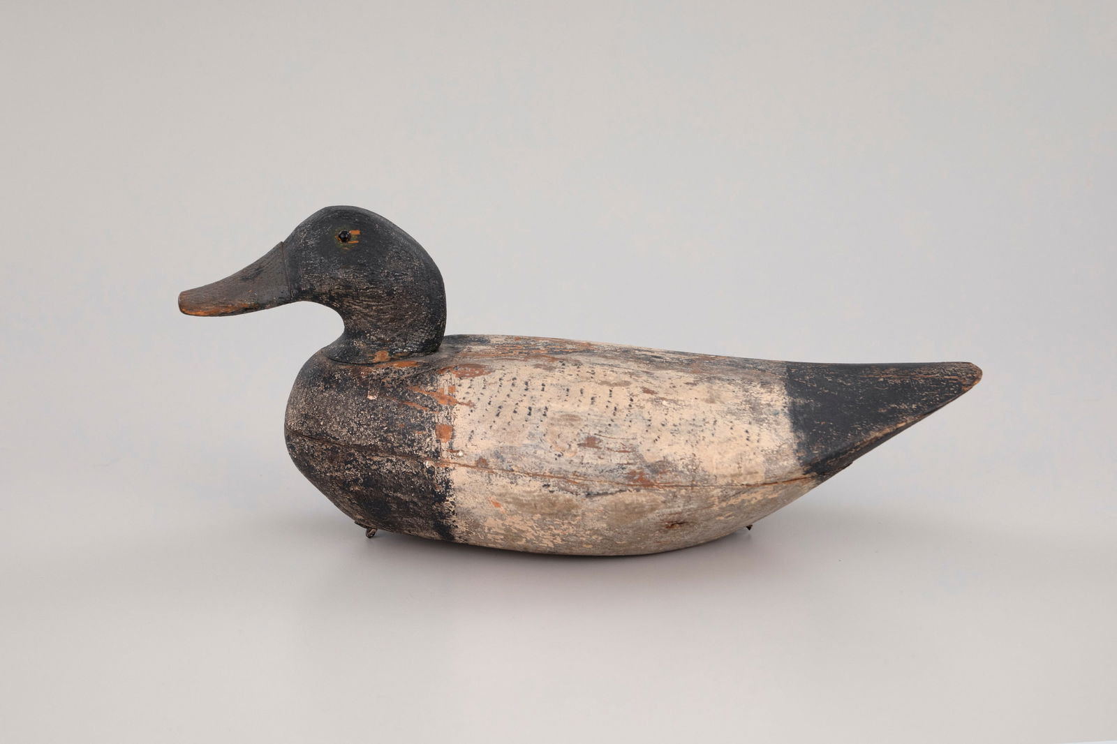 Hollow Bluebill, Horn Rig (1 of 7)