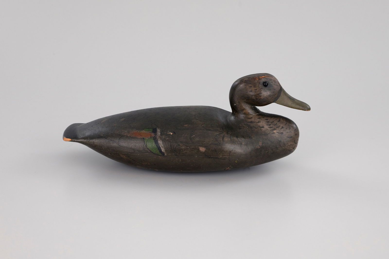 Rare Pinch-Breast Mallard Hen (1 of 7)