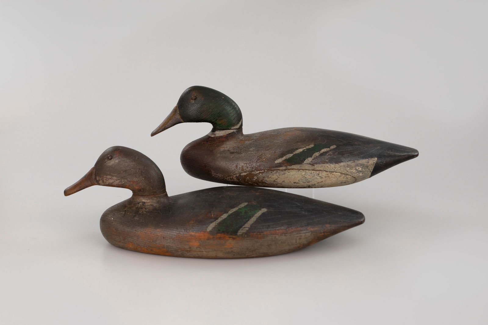Darlington Rig Mallard Pair (1 of 7)