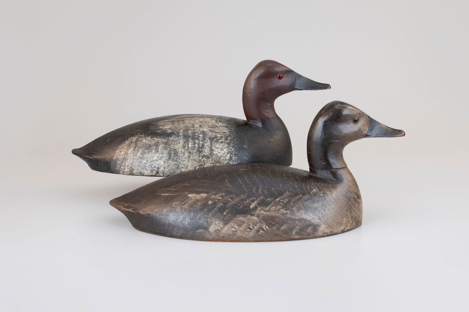 Canvasback Pair by John R. Wells (1861-1953) (1 of 5)
