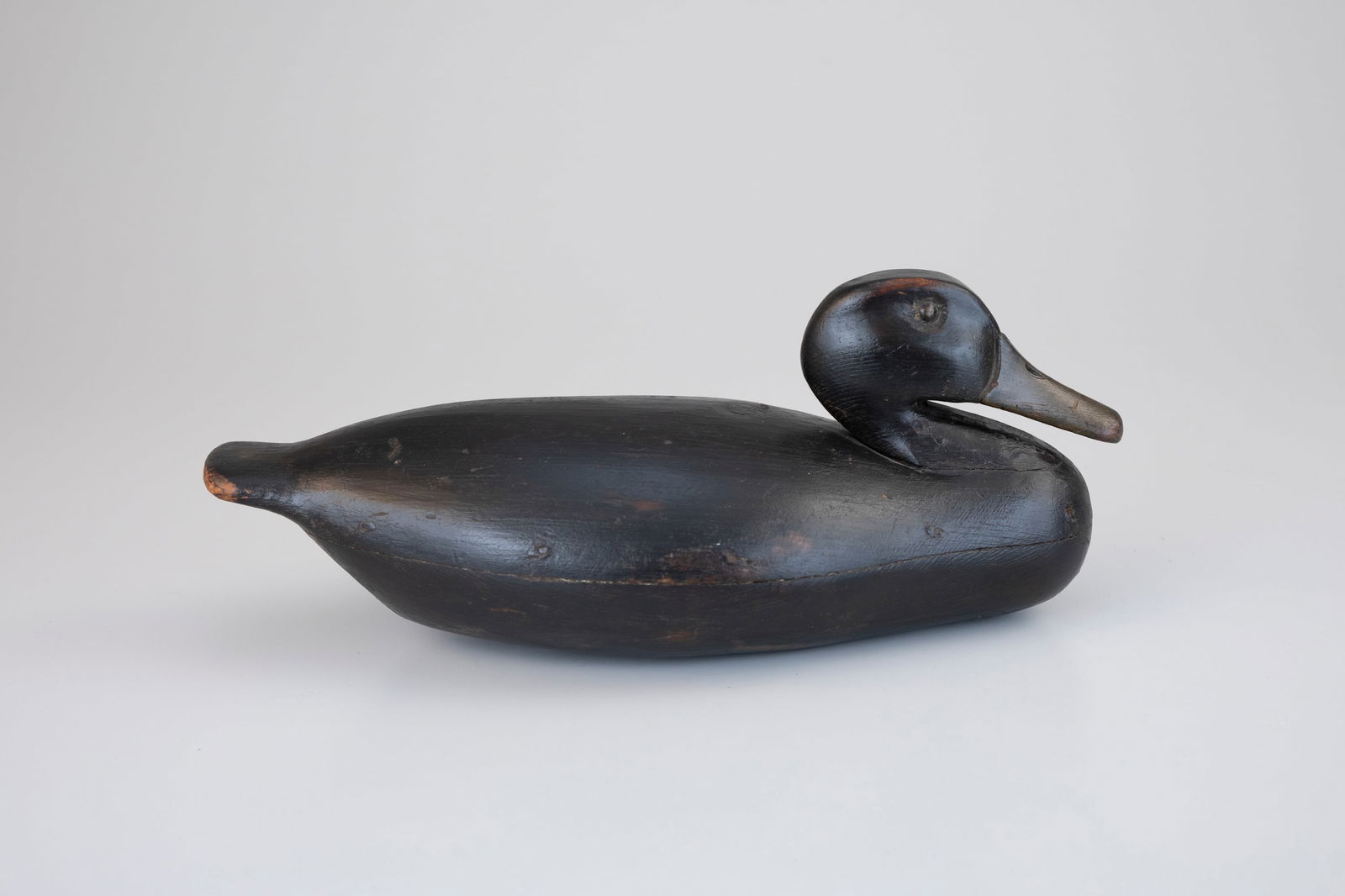 Early Black Duck (1 of 5)