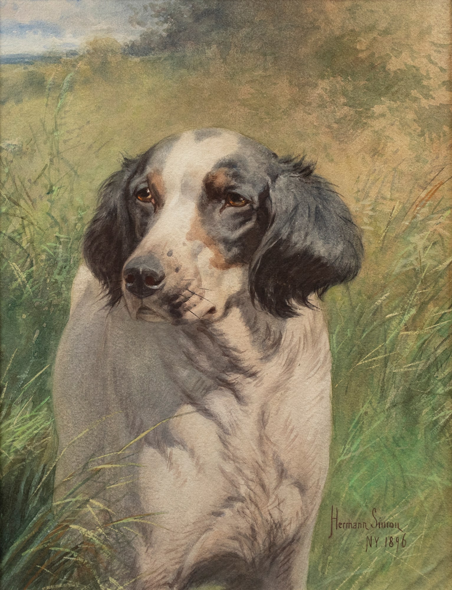 Hermann Simon (1846-1897), English Setter: Hermann Simon (1846-1897) English Setter, 1896 signed and dated "Hermann Simon, NY 1896" lower right watercolor, 17 1/2 by 13 in. Originally born in Germany, Simon's family moved to Philadelphia